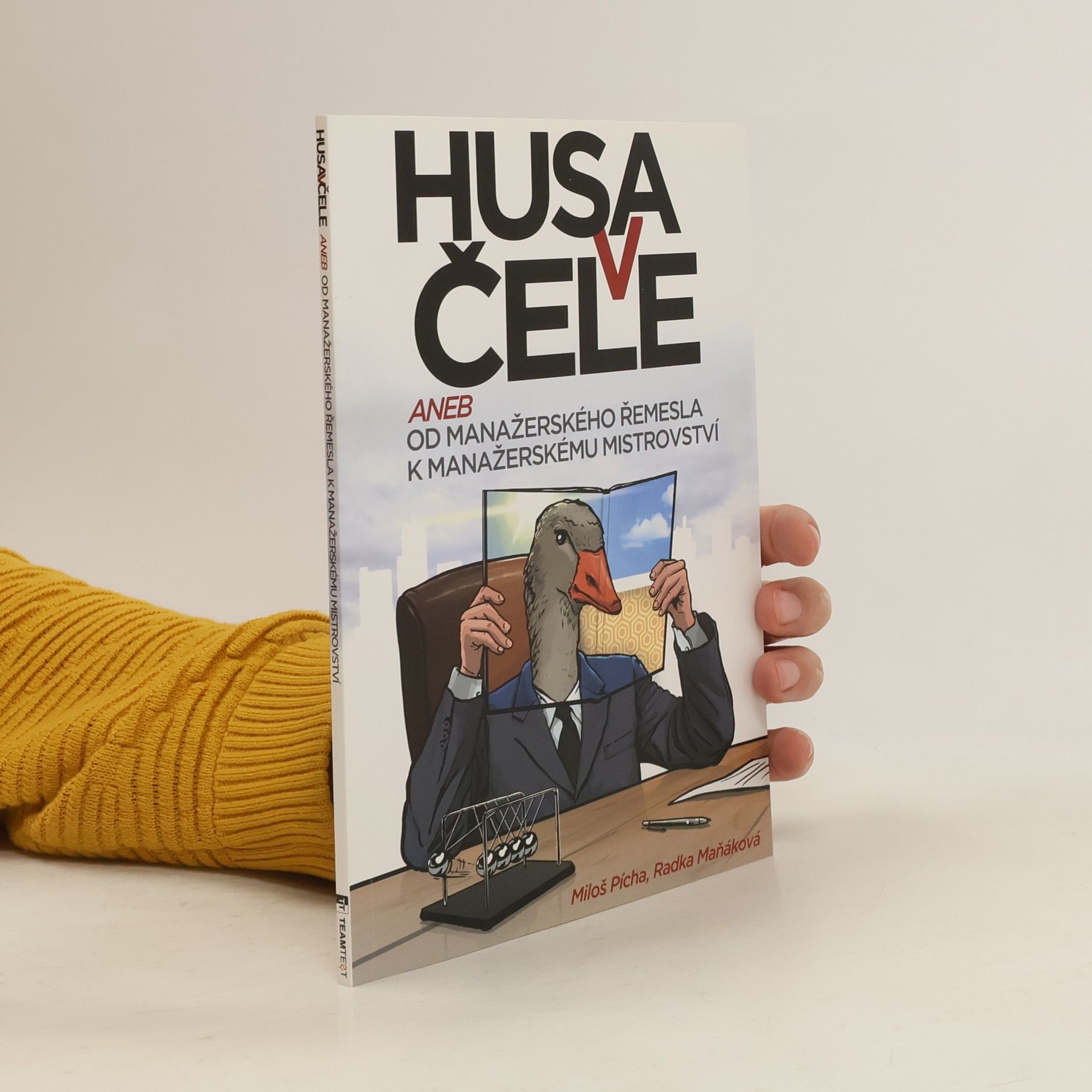 Radka Maňáková Husa v čele. Od manažerského řemesla k manažerskému mistrovství