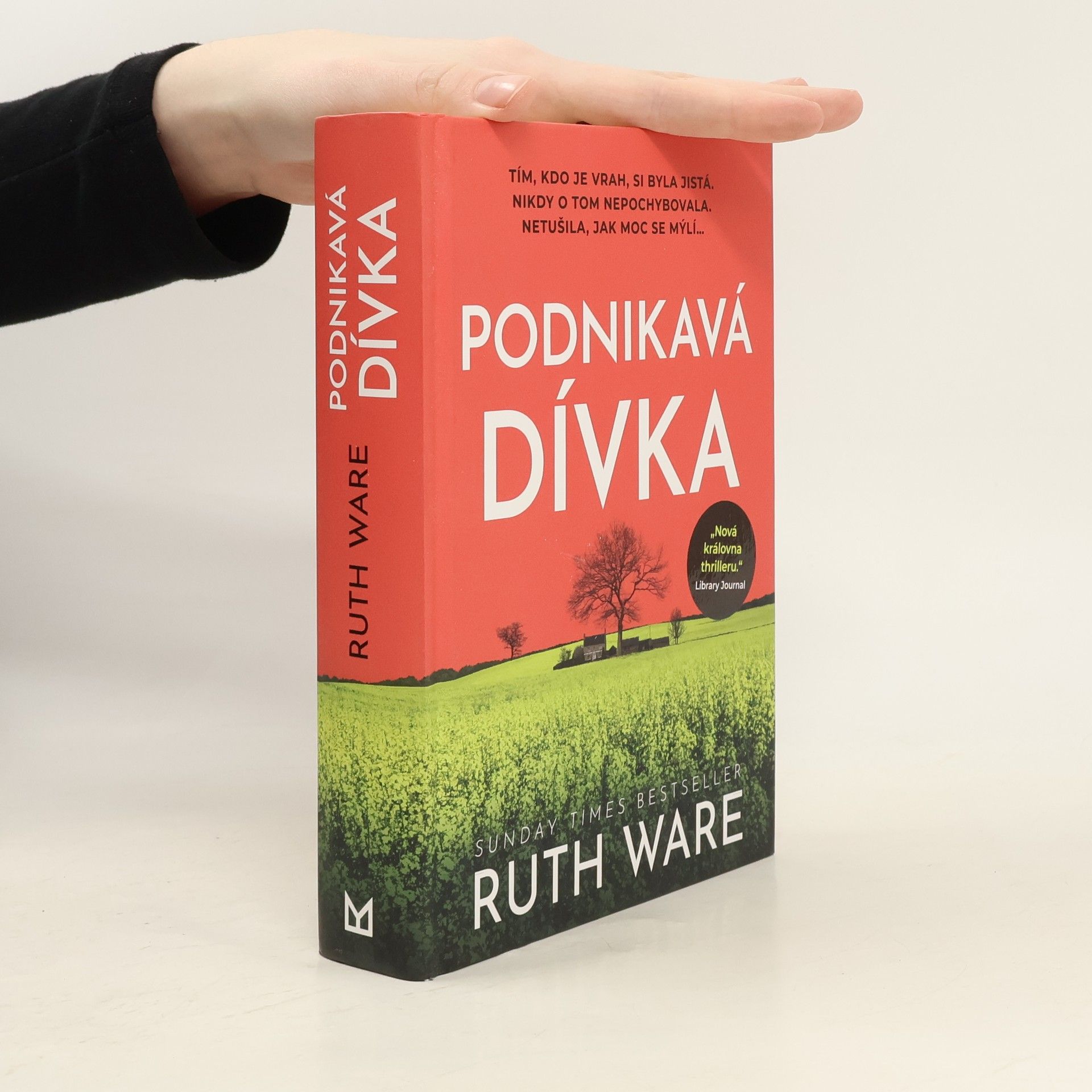 Ruth Ware Podnikavá dívka