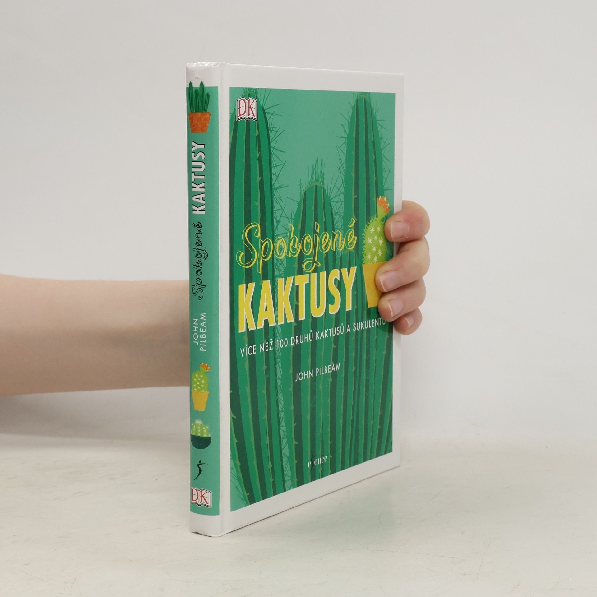 John Pilbeam Spokojené kaktusy