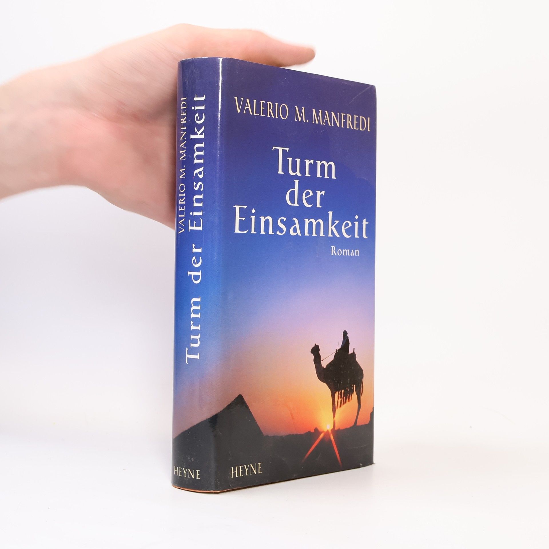 Valerio Massimo Manfredi Turm der Einsamkeit