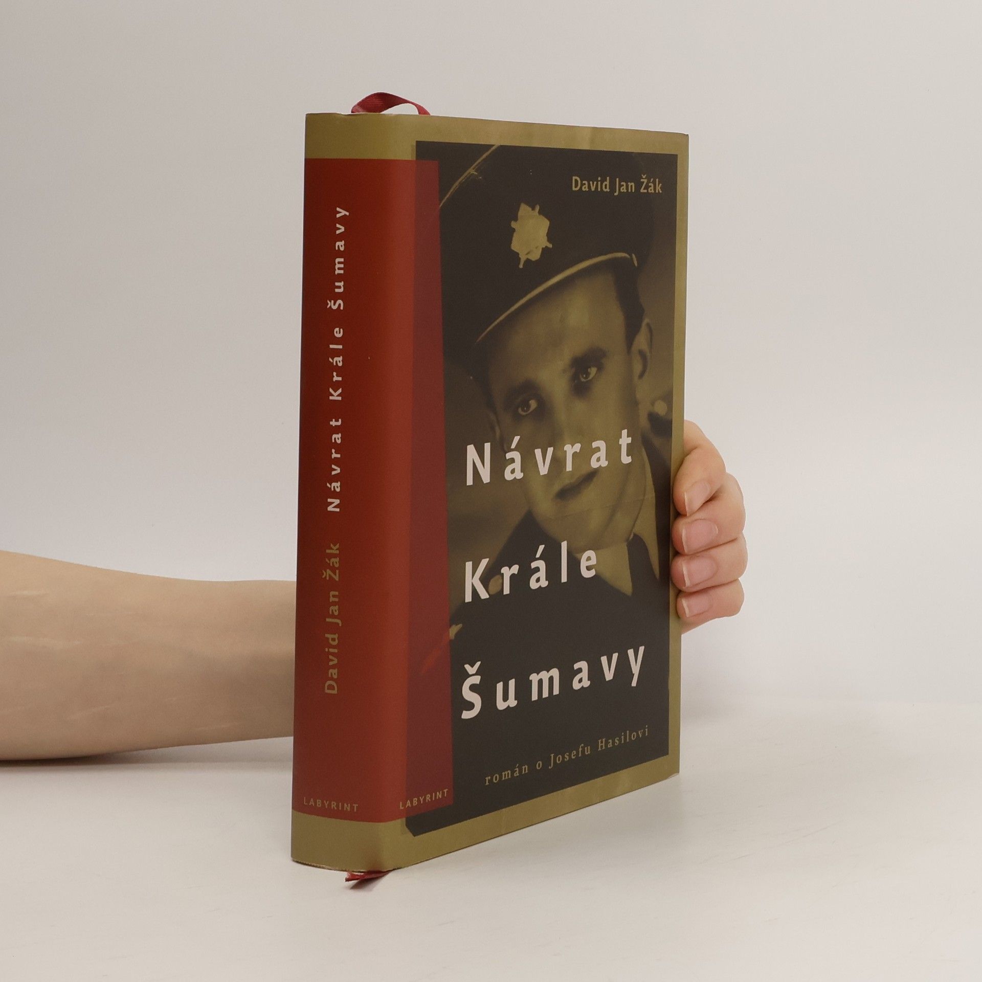 David Jan Žák Návrat Krále Šumavy