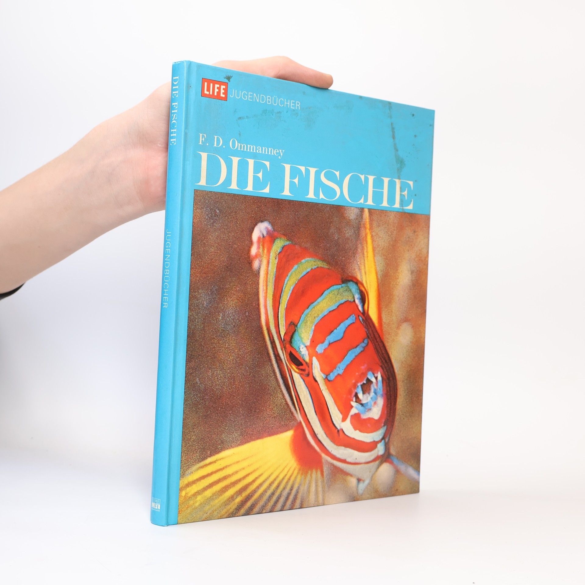 F. D. Ommanney Die Fische