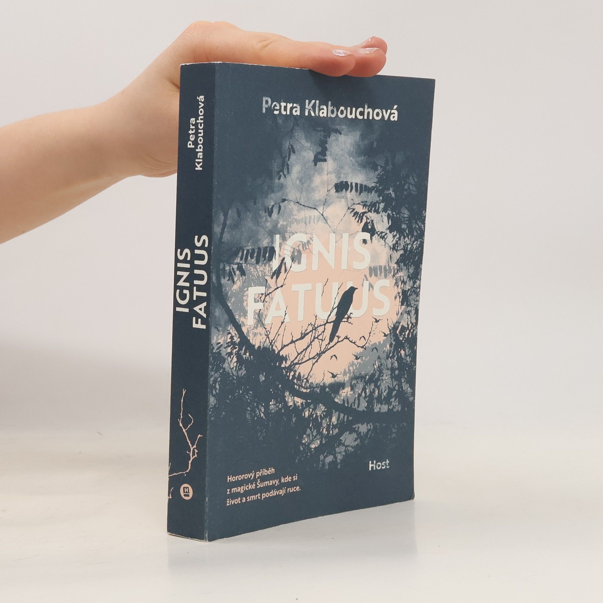 Petra Klabouchová Ignis fatuus