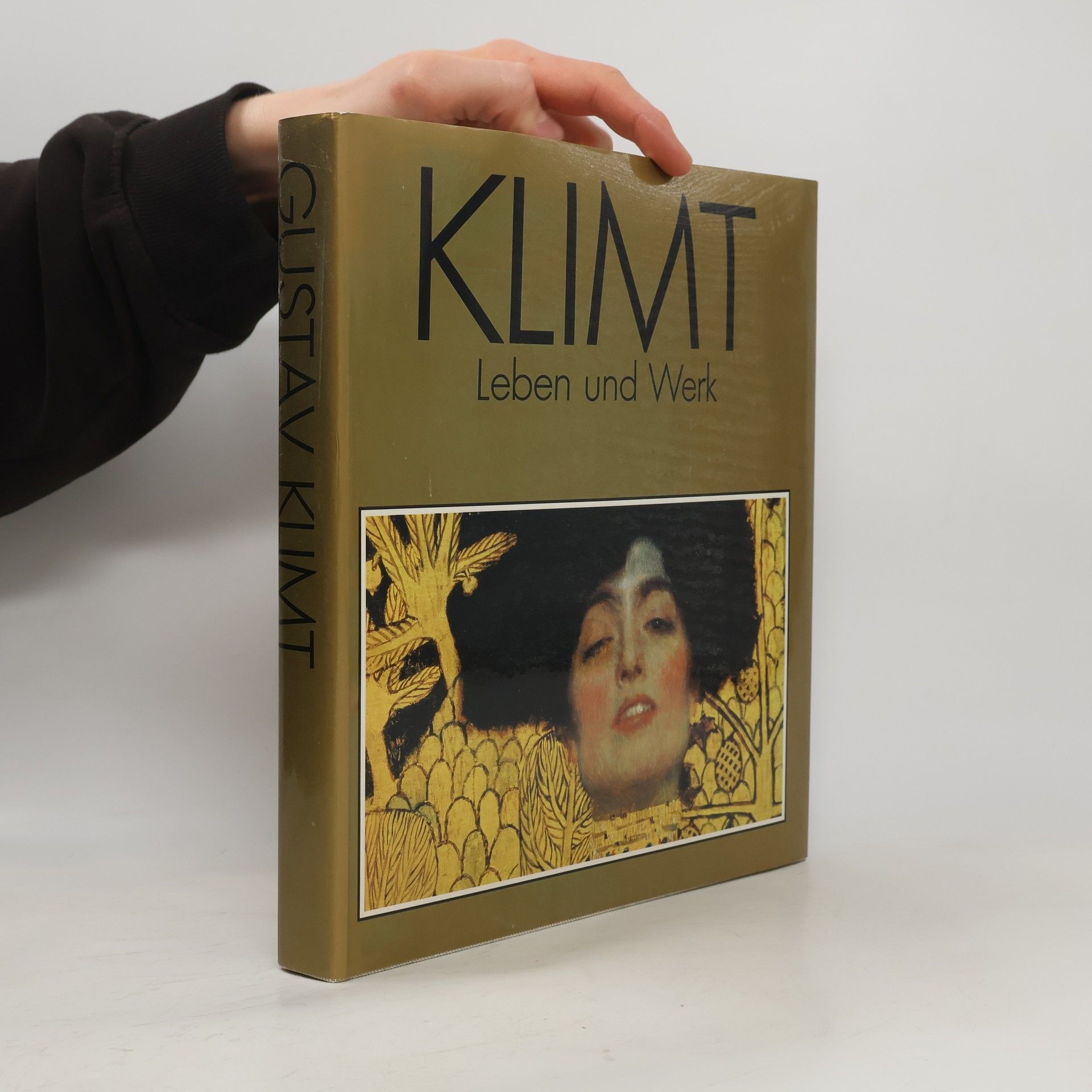 Susanna Partsch Gustav Klimt. Leben und Werk