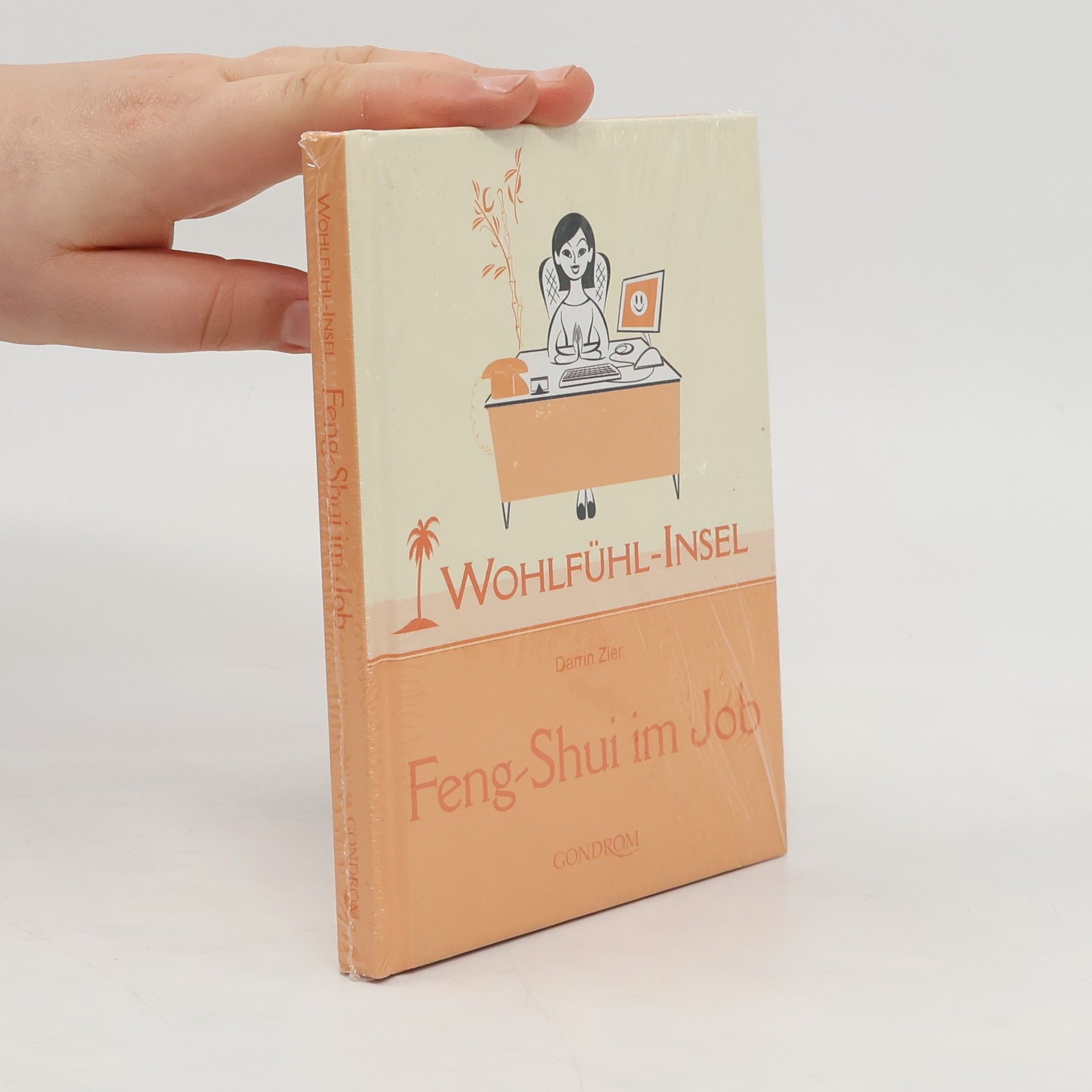 Darrin Zeer Feng-Shui im Job