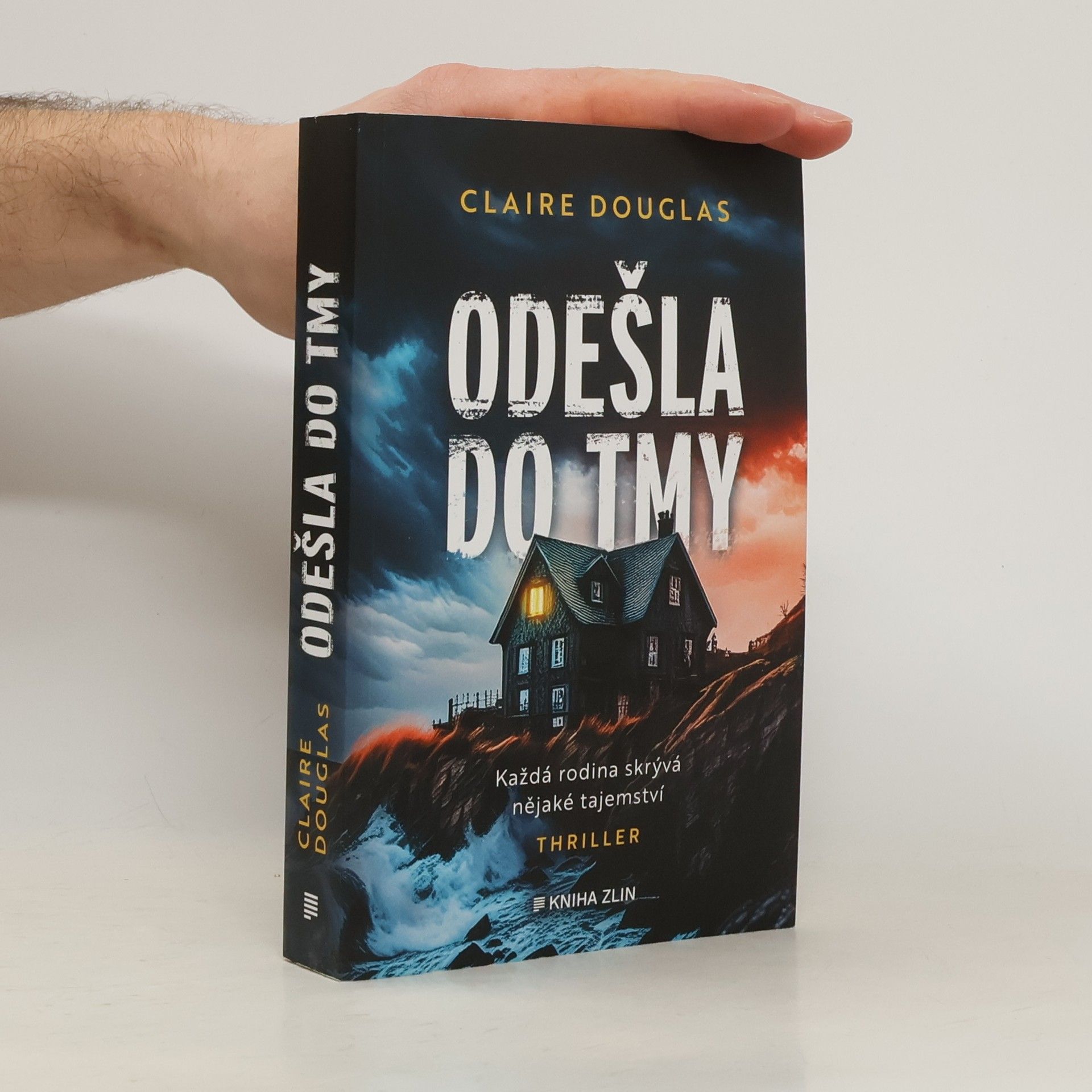 Claire Douglas Odešla do tmy