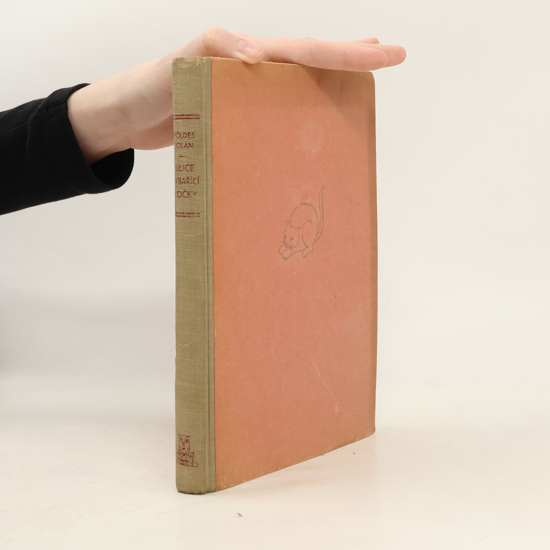 Jolán Földes Ulice rybařící kočky