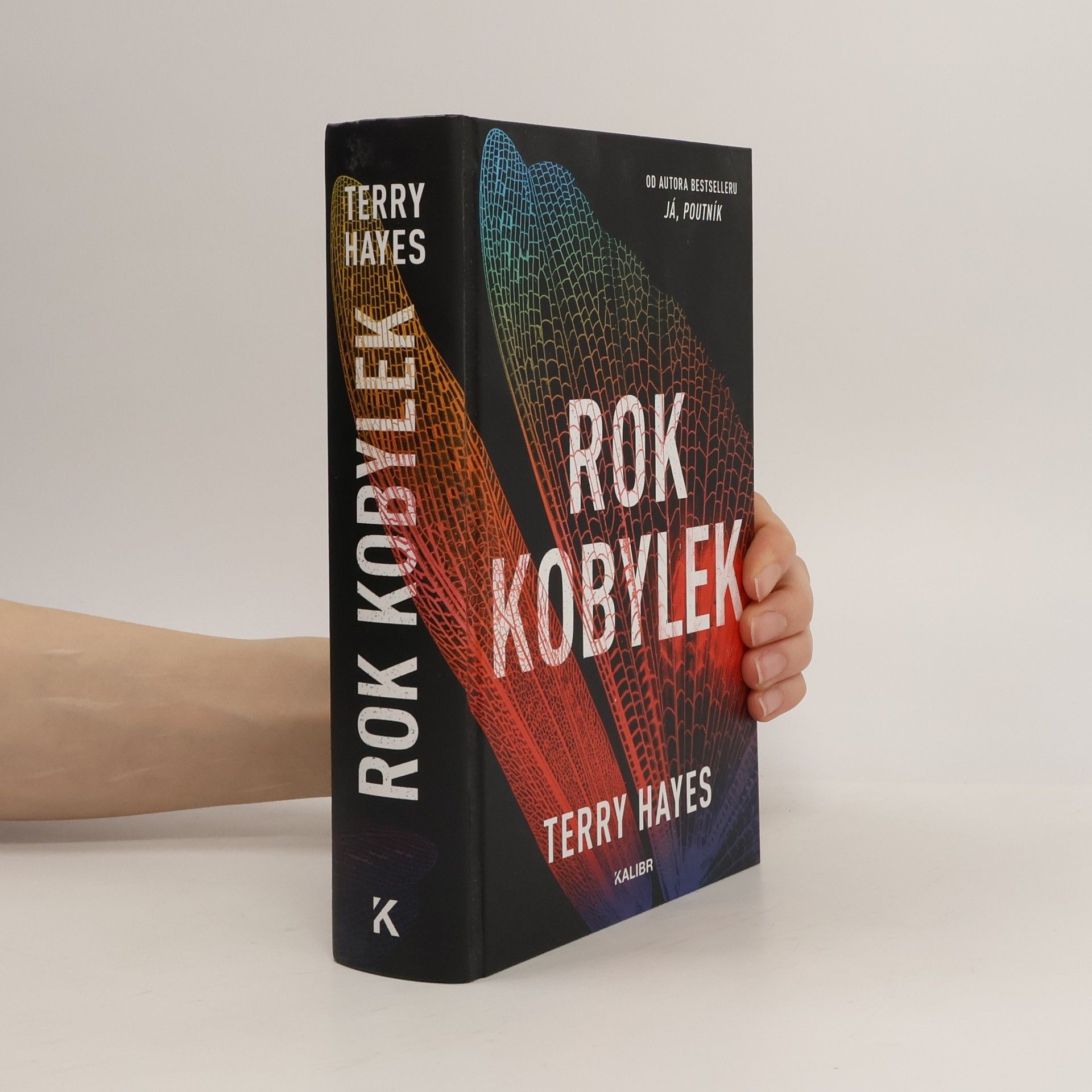 Terry Hayes Rok kobylek