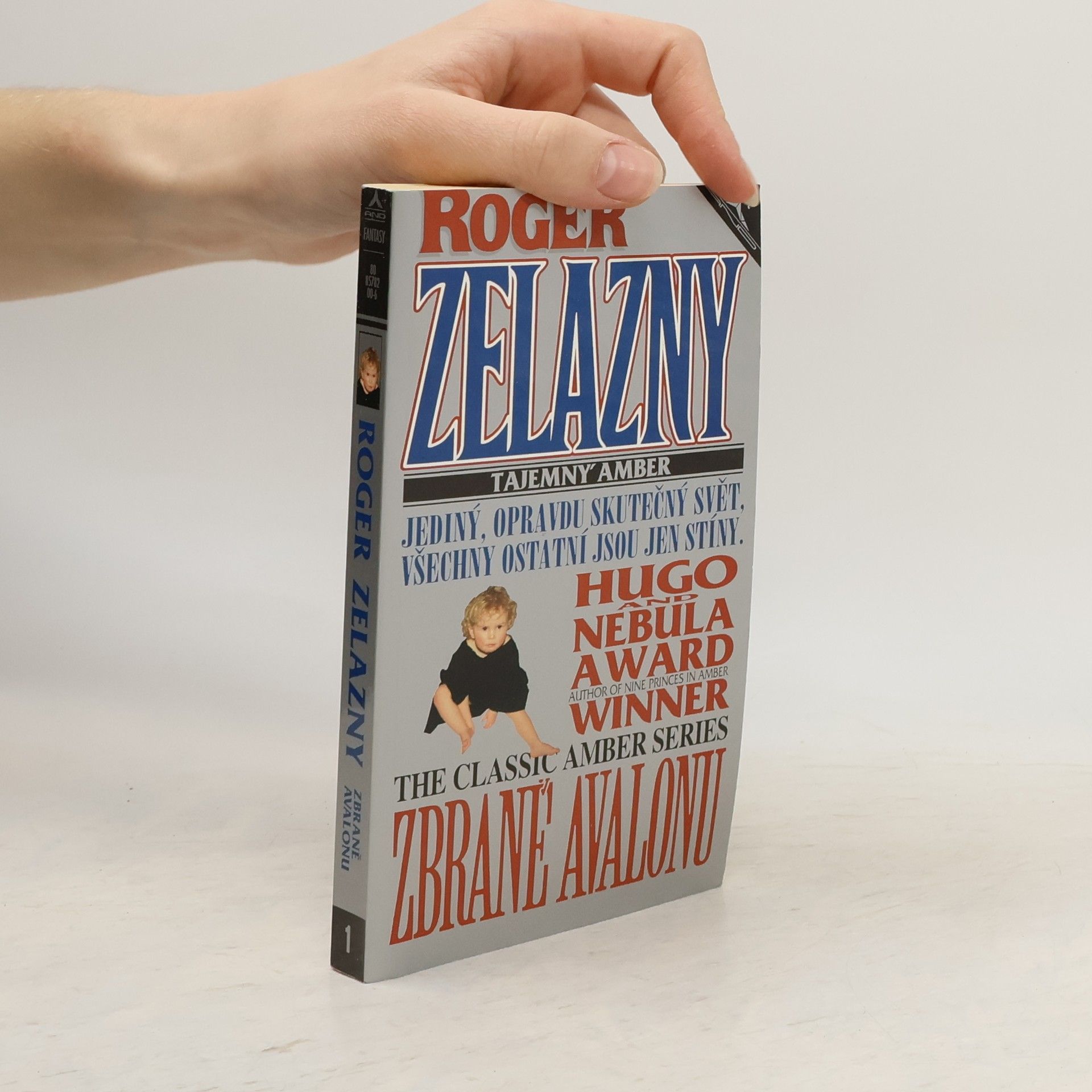 Martin Janda Tajemný Amber. Zbraně Avalonu