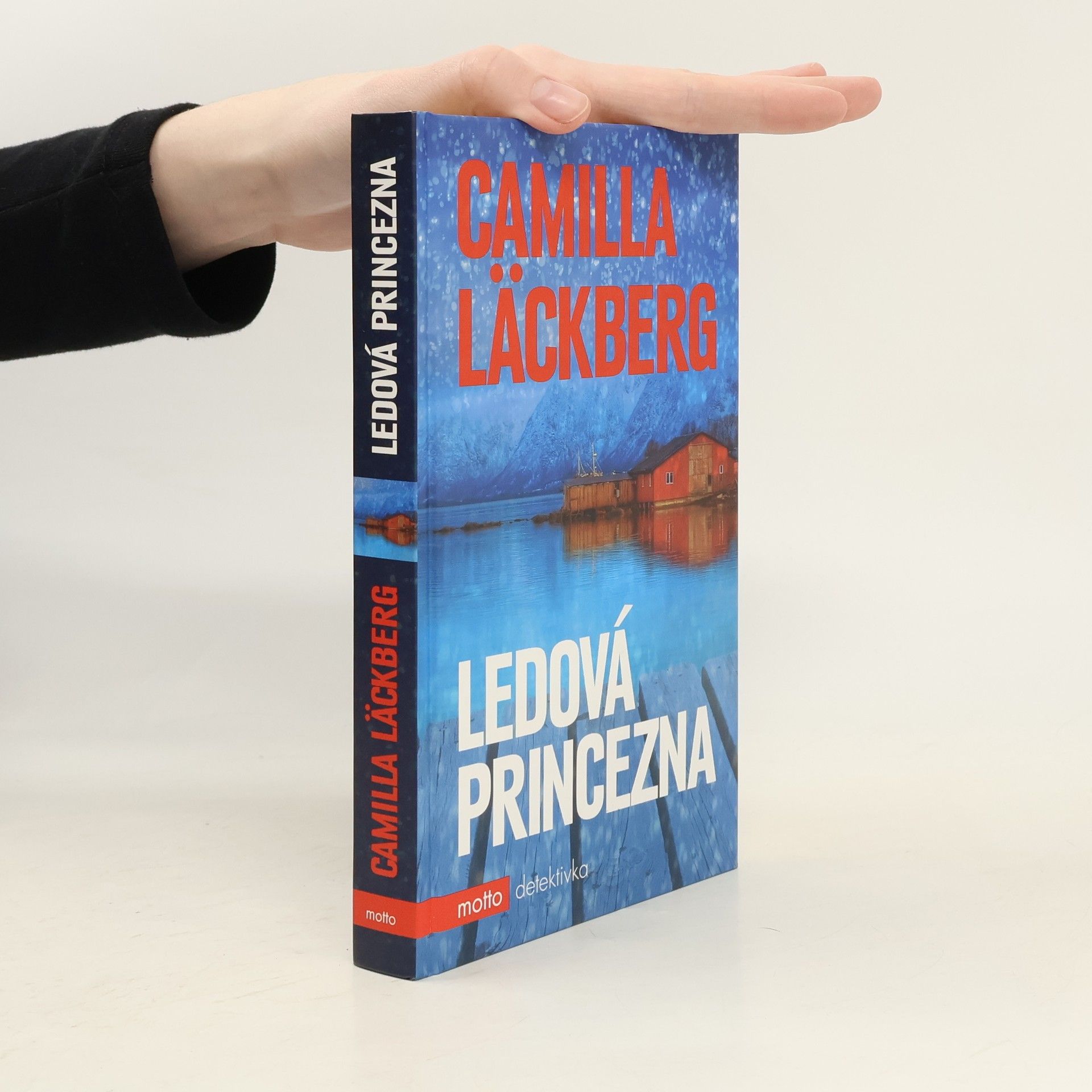 Camilla Läckberg Ledová princezna