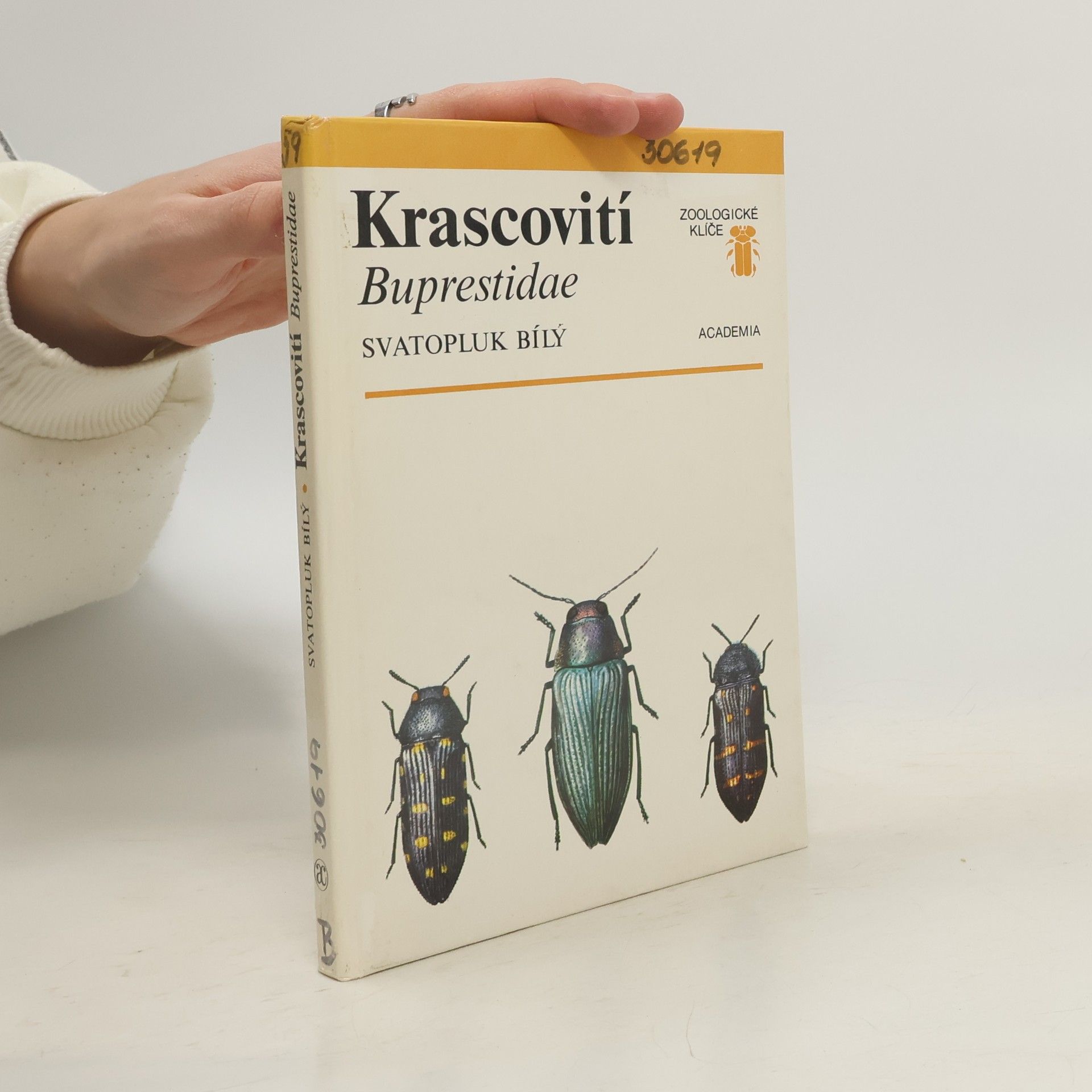 Svatopluk Bílý Krascovití