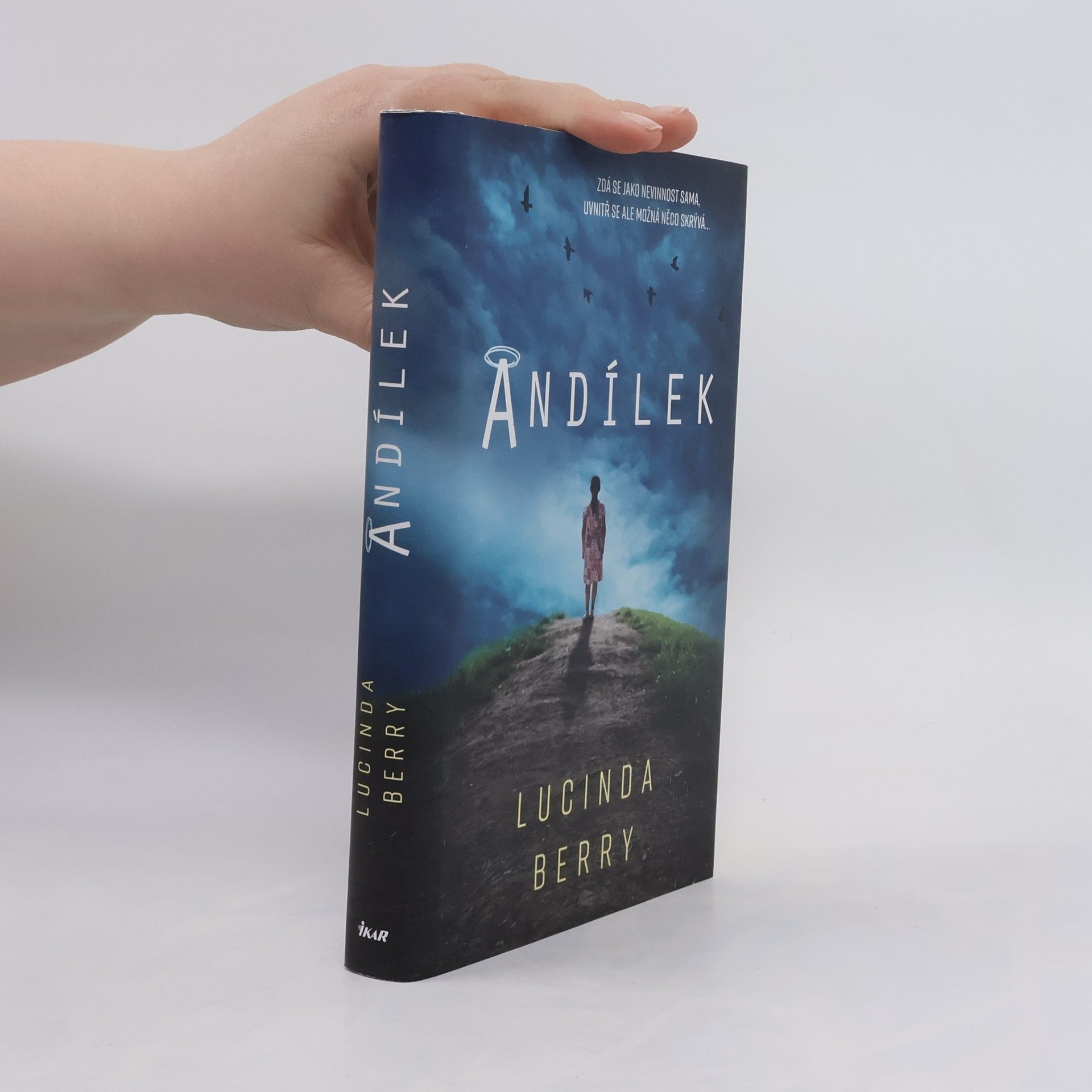 Lucinda Berry Andílek