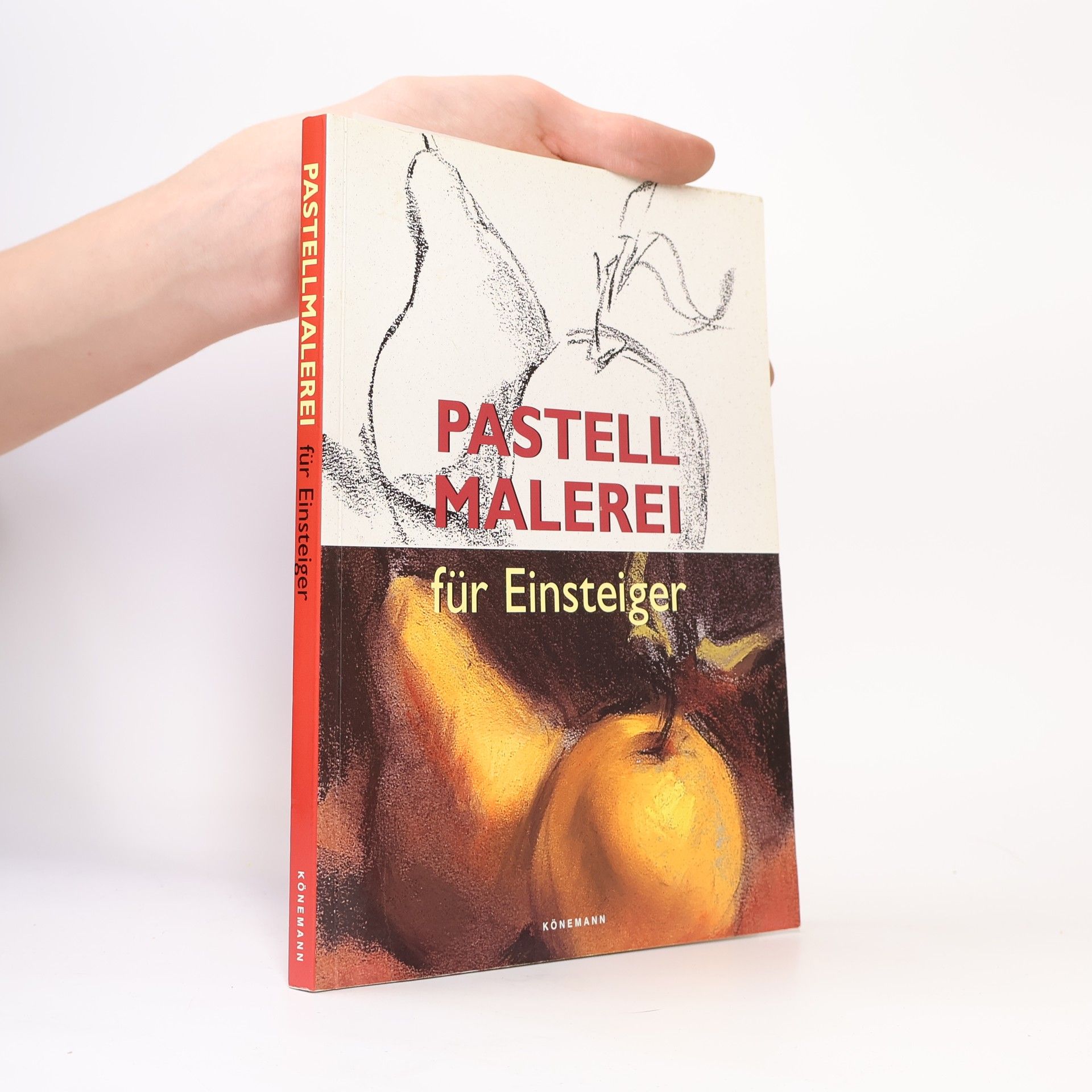 Autorenkollektiv Pastellmalerei für Einsteiger
