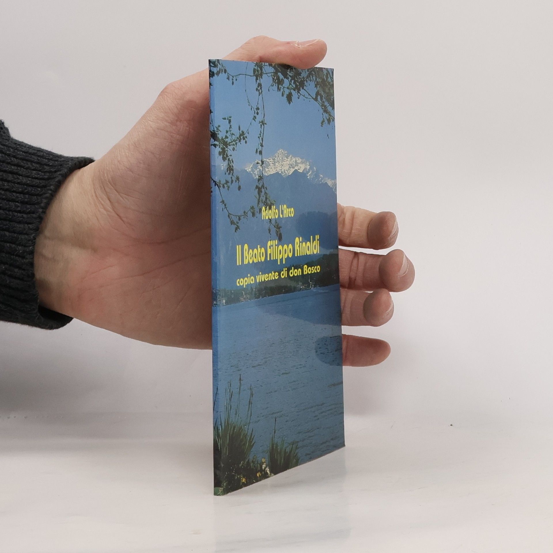 Adolfo L. Arco Il Beata Filippo Rinaldi