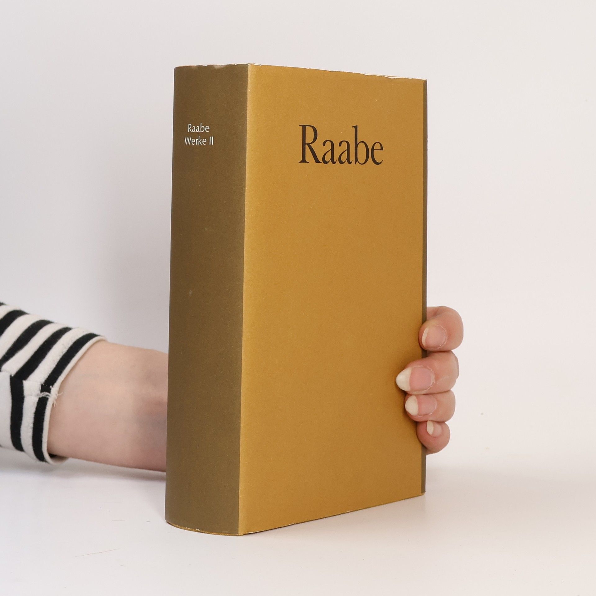Raabe Werke Band II. Der Hungerpastor