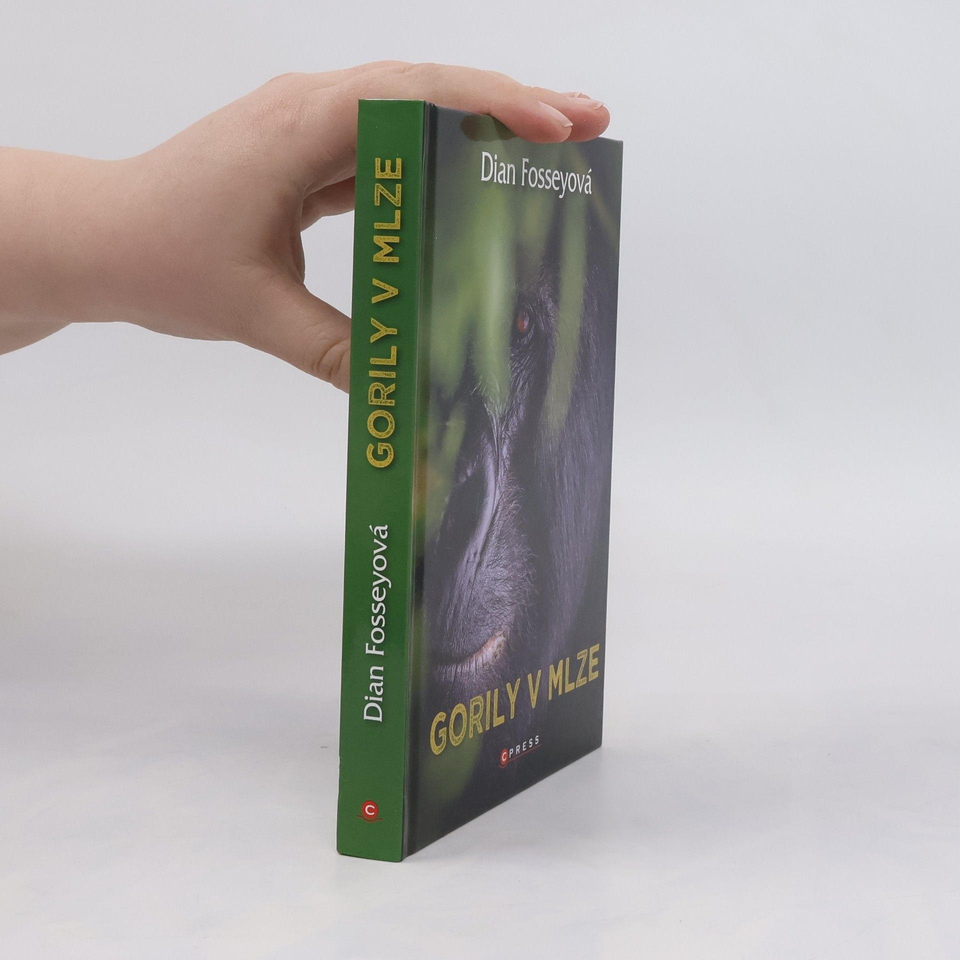 Dian Fossey Gorily v mlze