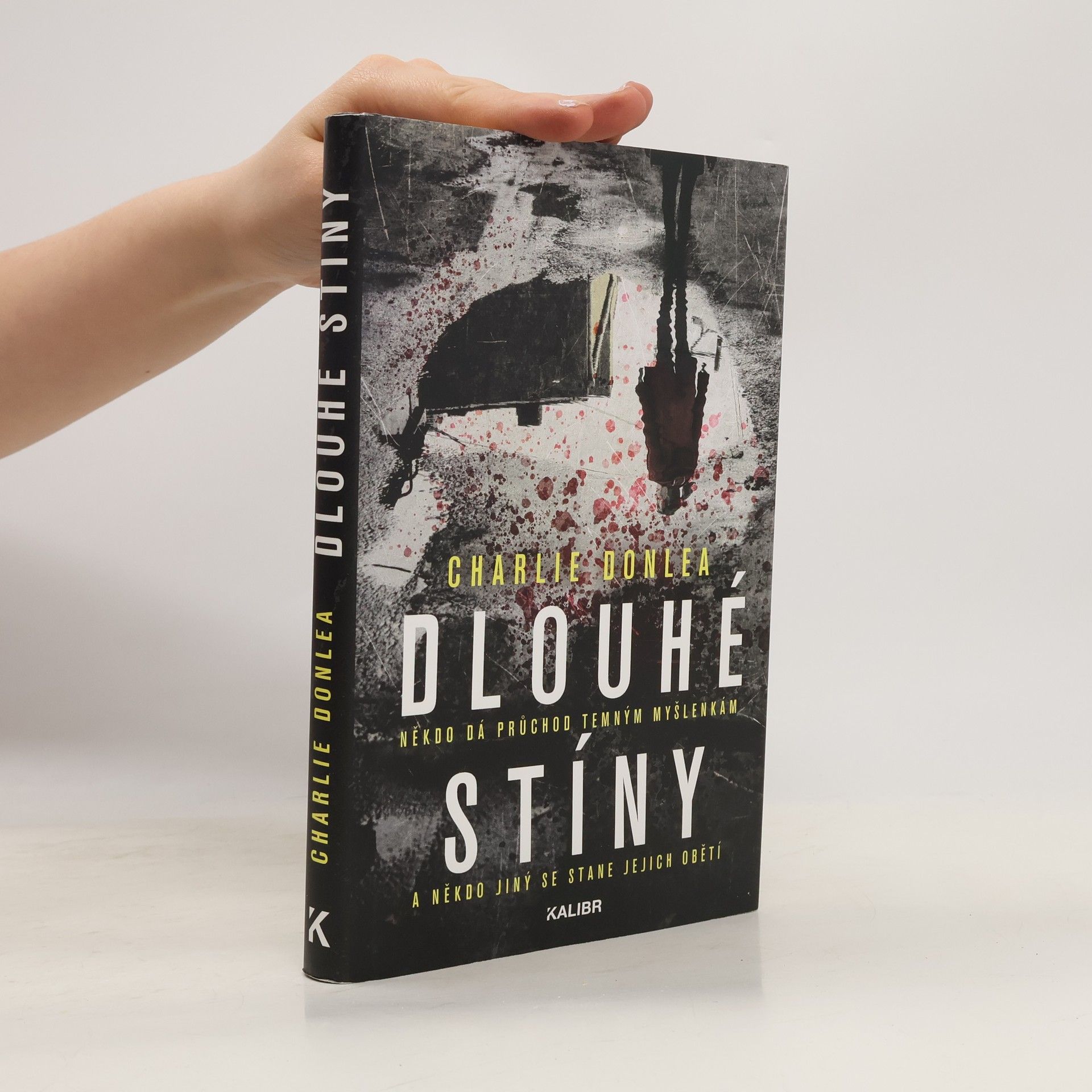 Charlie Donlea Dlouhé stíny