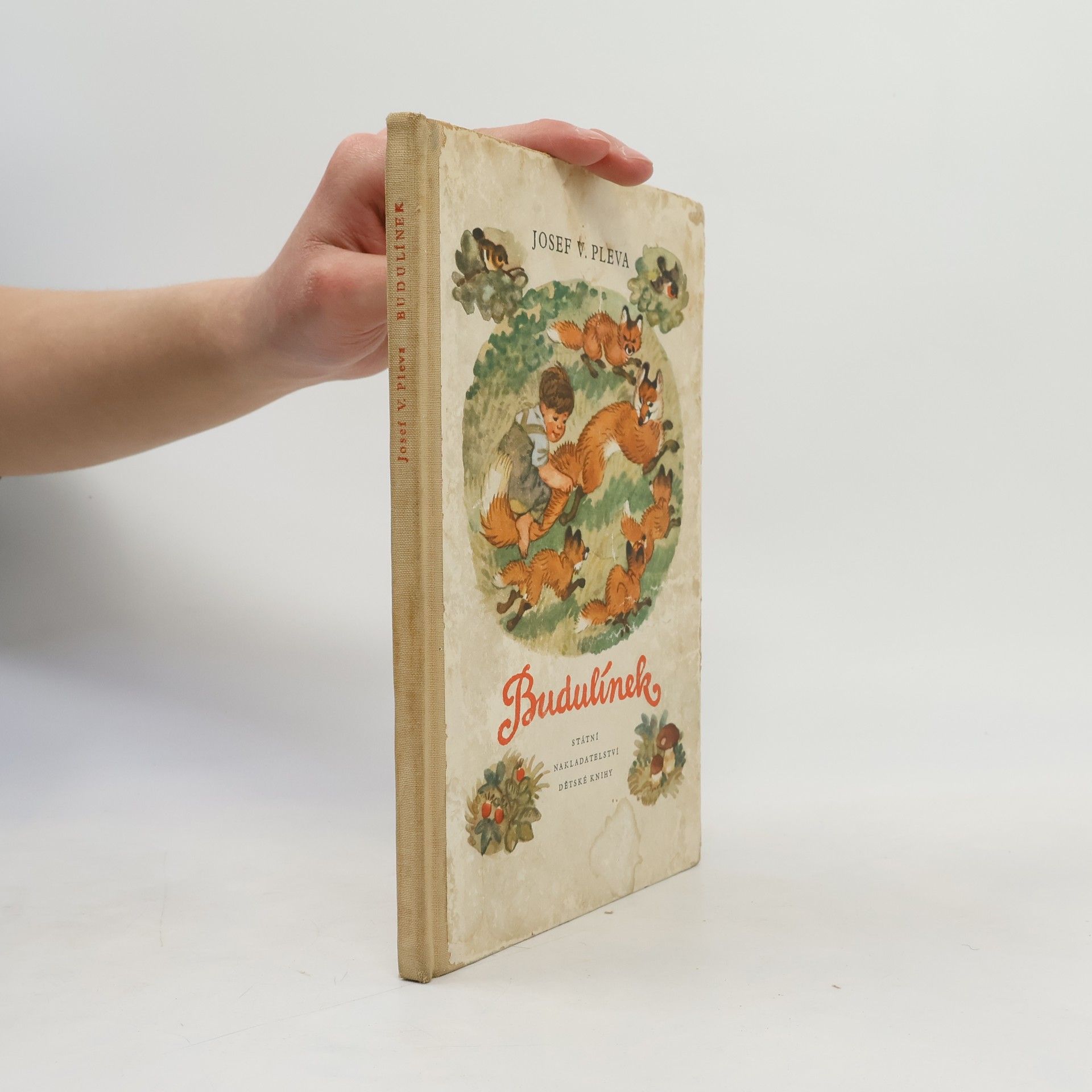Josef Věromír Pleva Budulínek