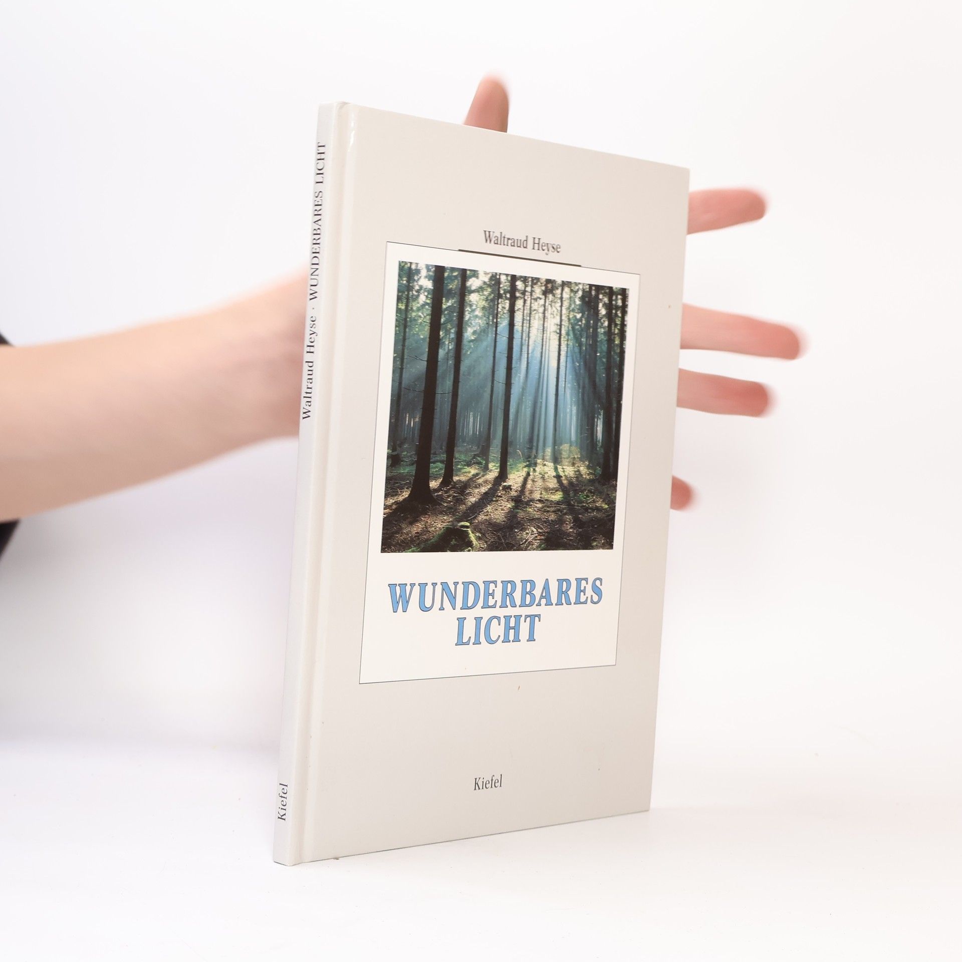 Waltraud Heyse Wunderbares Licht