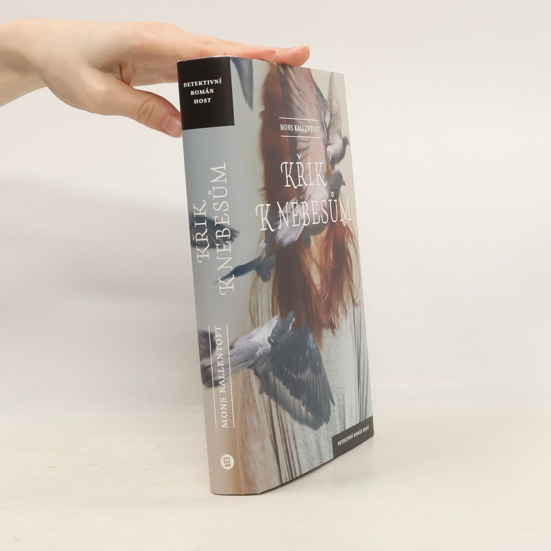 Mons Kallentoft Křik k nebesům