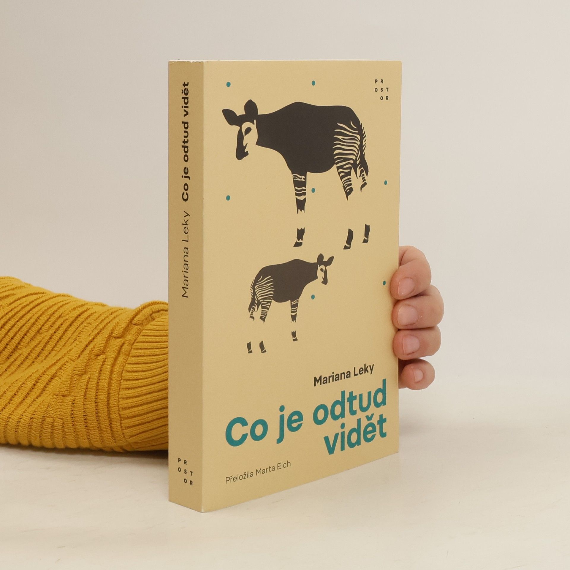 Mariana Leky Co je odtud vidět