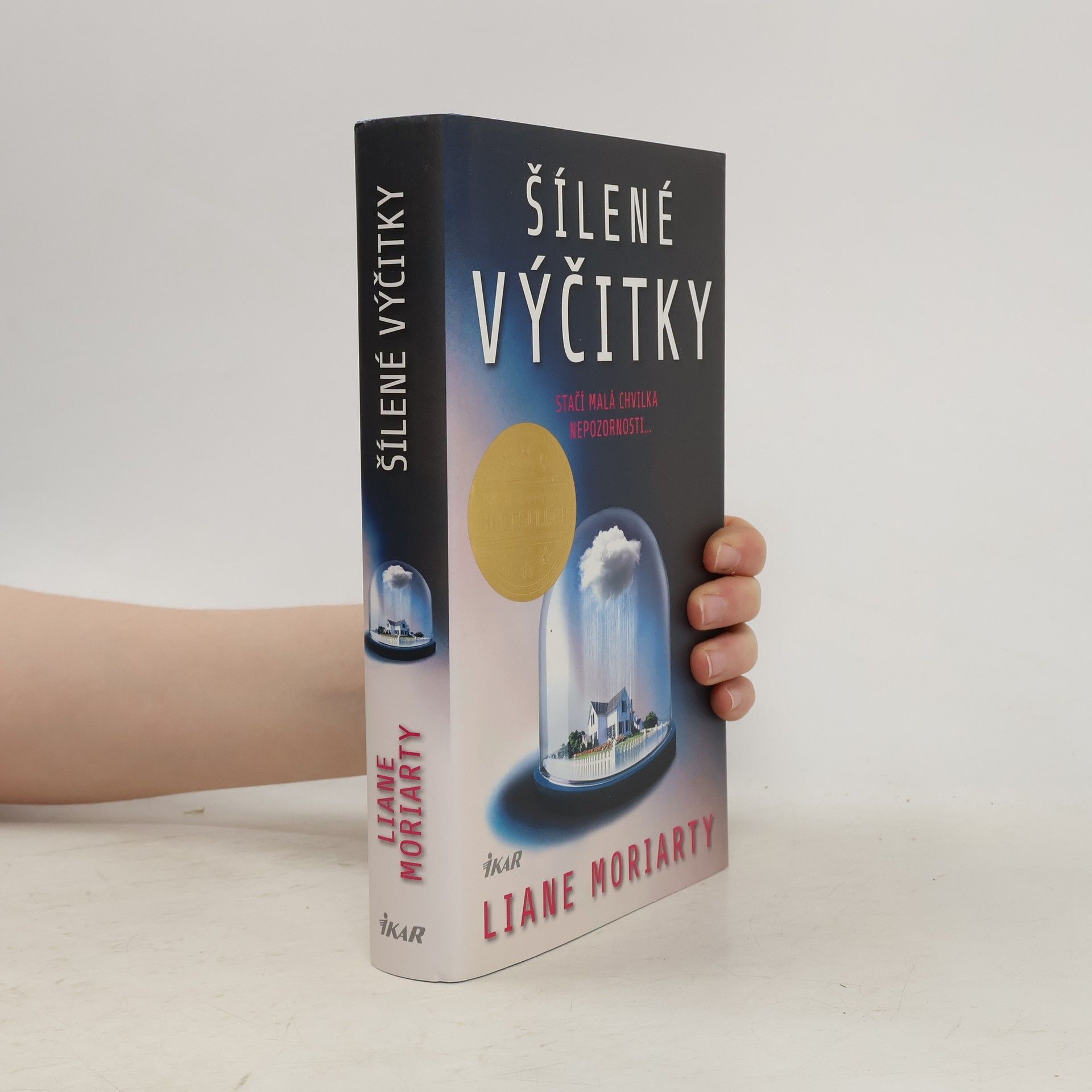 Liane Moriarty Šílené výčitky