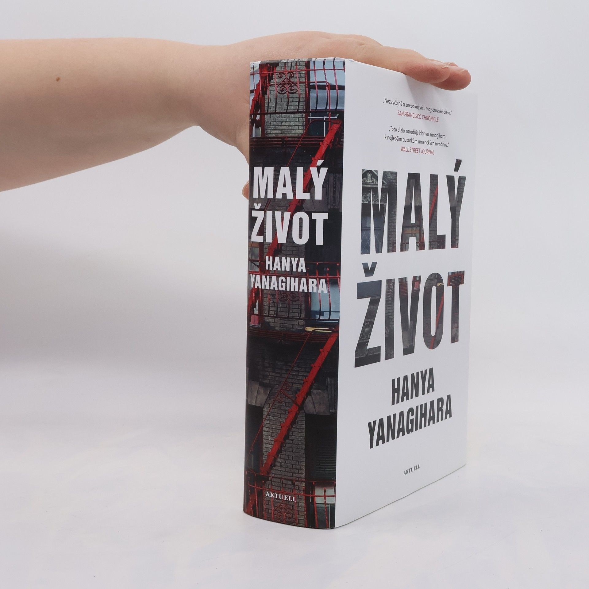 Hanya Yanagihara Malý život