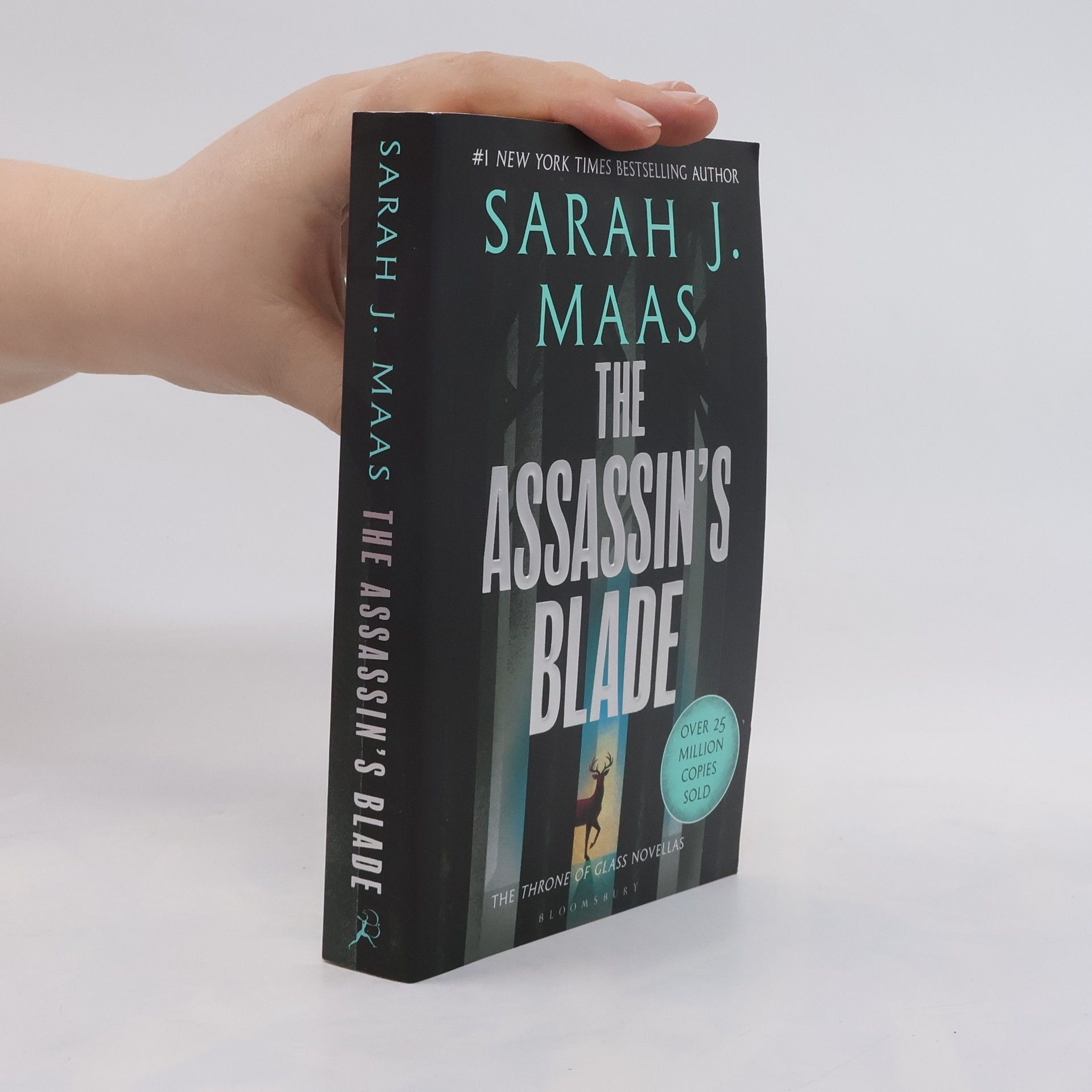 Sarah J. Maas The Assassin's Blade