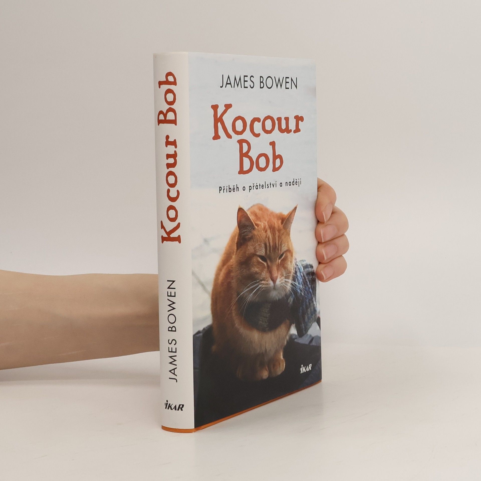 James Bowen Kocour Bob