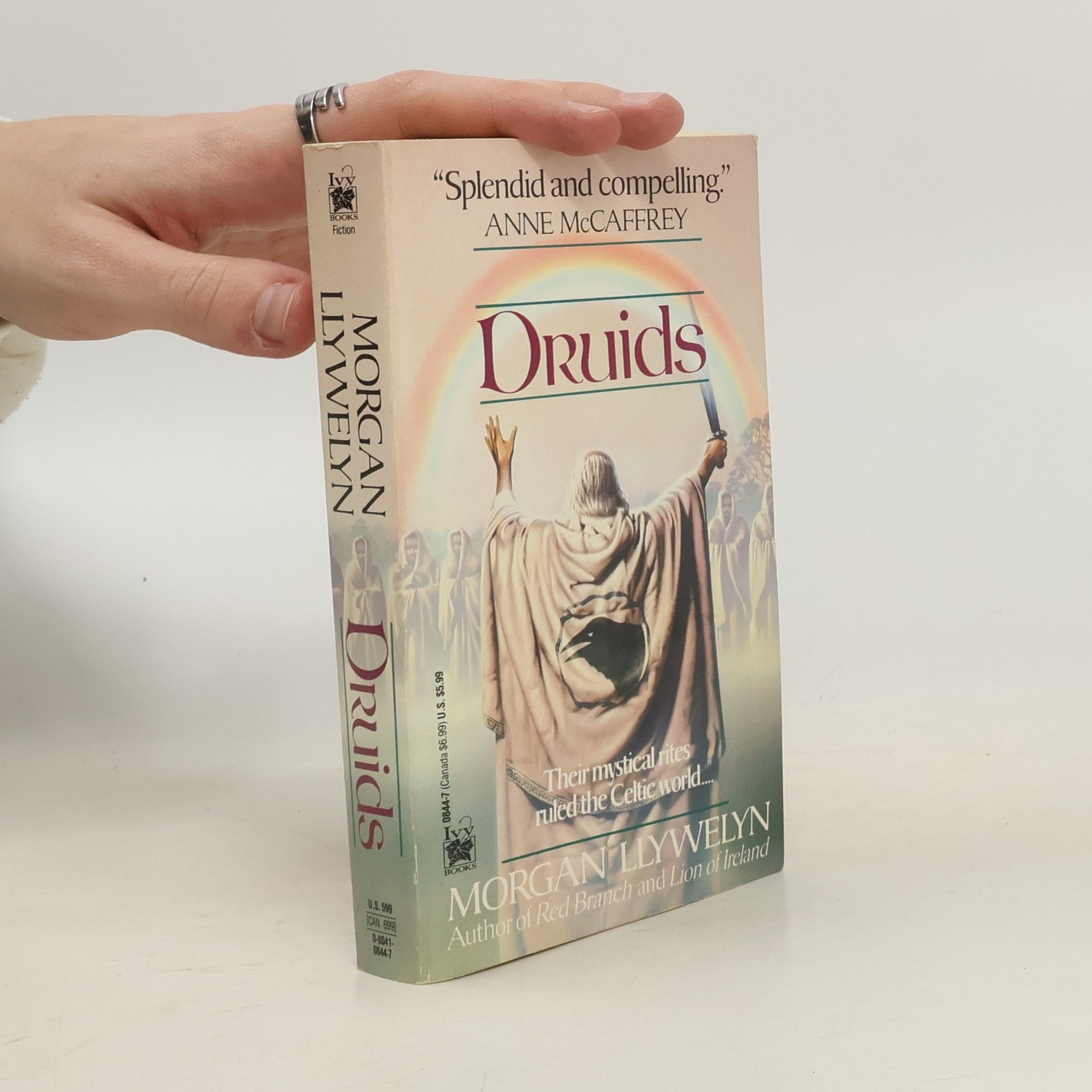 Morgan Llywelyn Druids