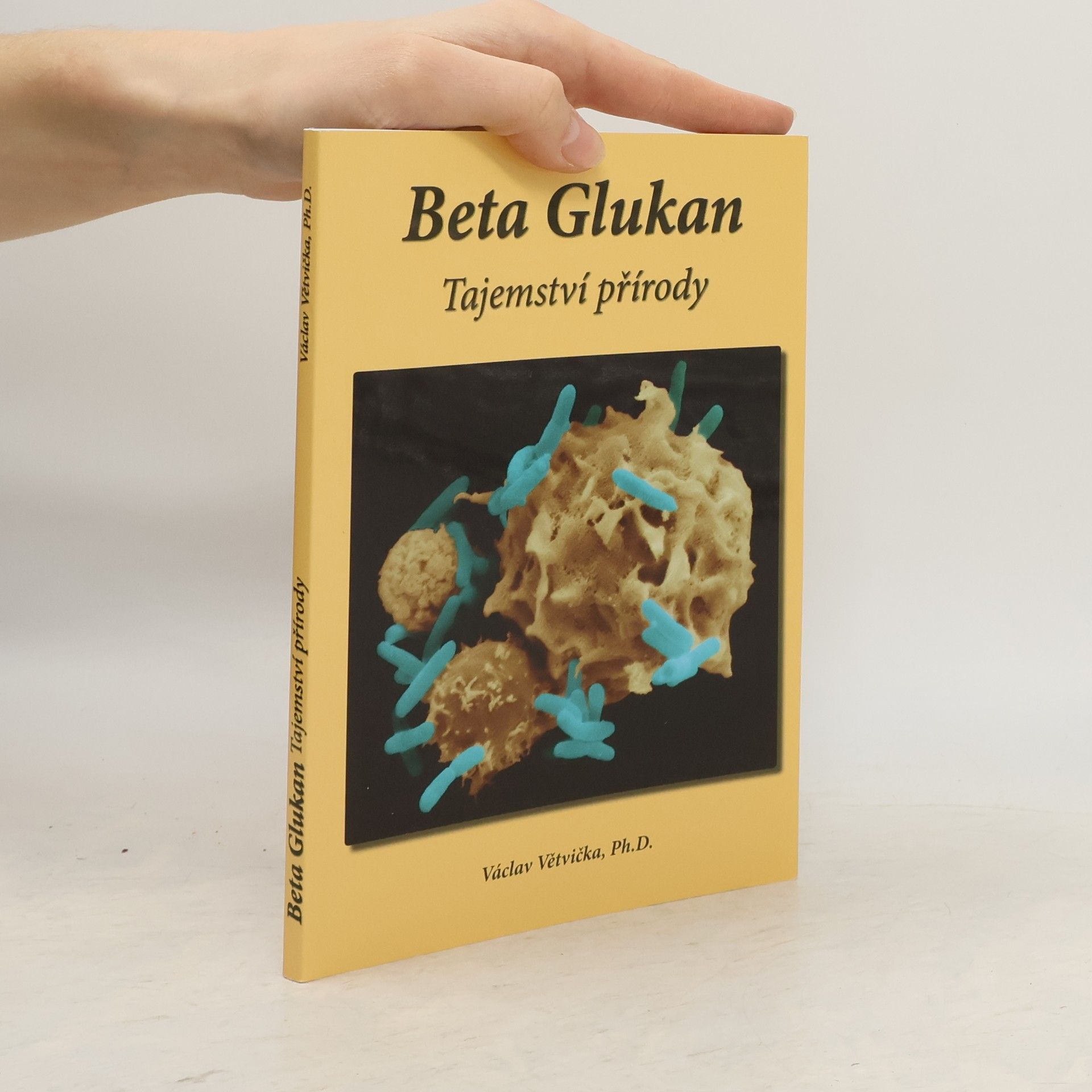 Václav Větvička Beta Glukan : tajemství přírody