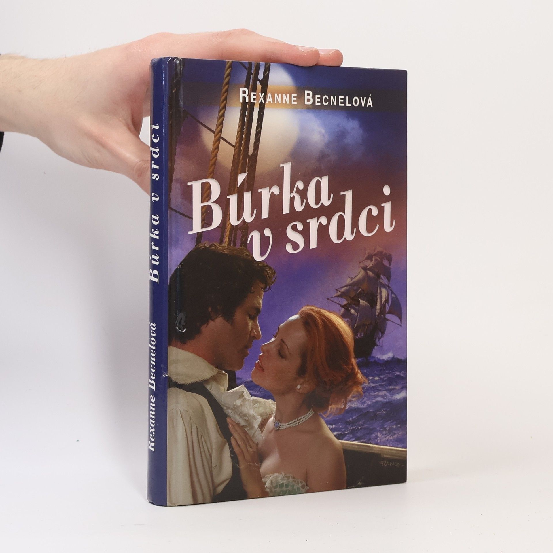 Rexanne Becnel Búrka v srdci