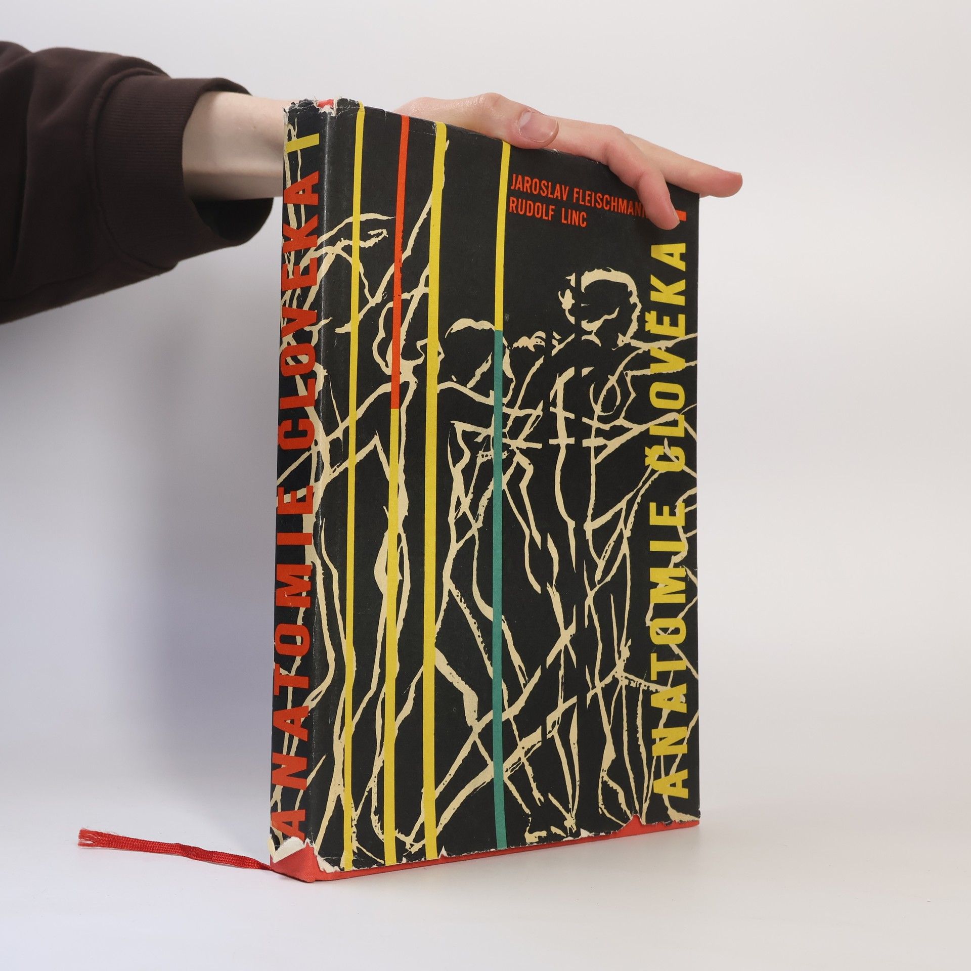 Anatomie člověka I