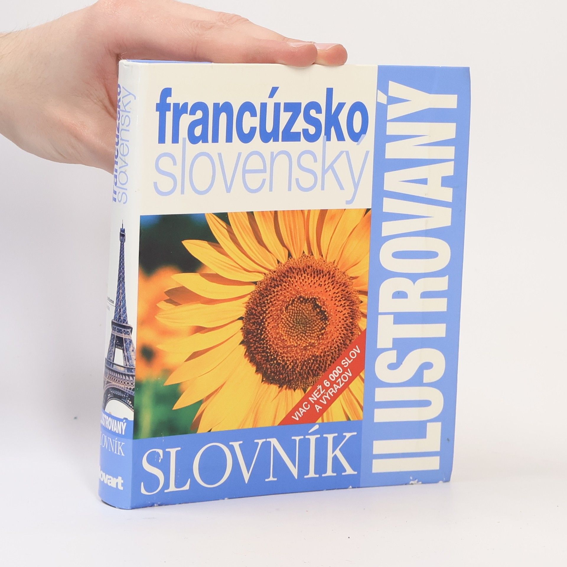 Kolektiv autorů Ilustrovaný dvojjazyčný slovník francúzsko slovenský