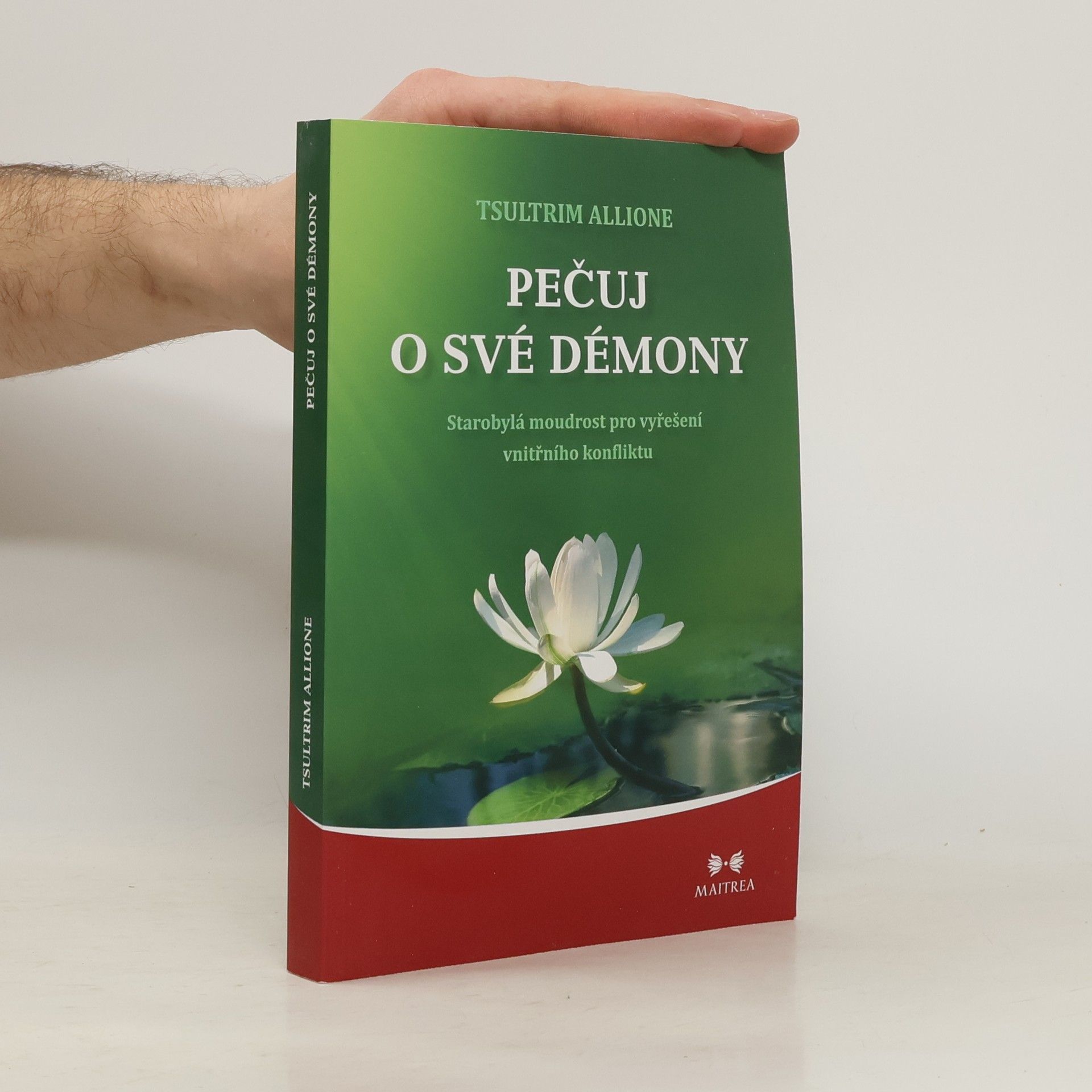 Tsultrim Allione Pečuj o své démony. Starobylá moudrost pro vyřešení vnitřního konfliktu