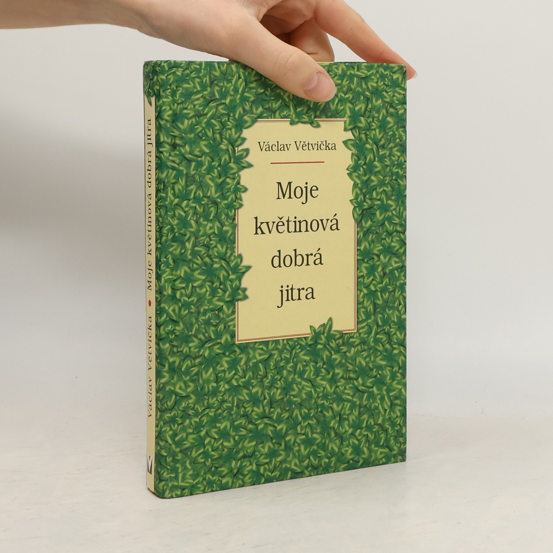 Václav Větvička Moje květinová dobrá jitra