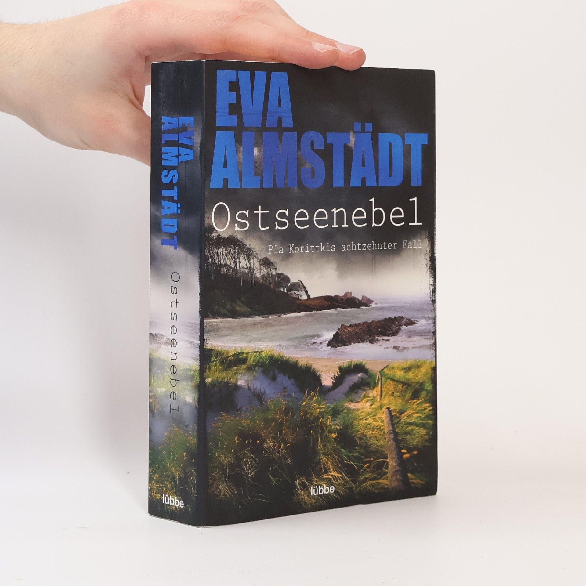 Eva Almstadt Ostseenebel