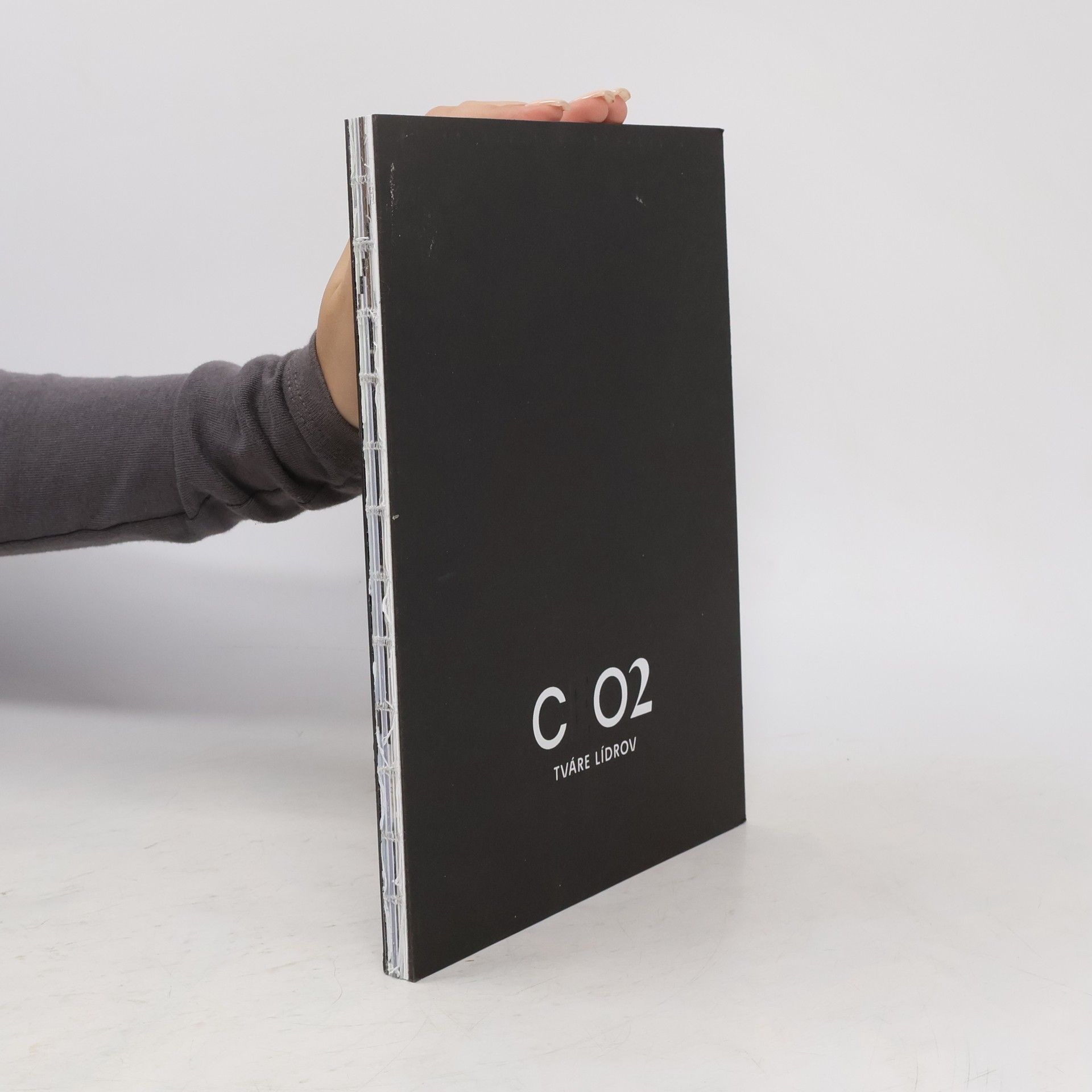 Matúš Lago CEO2. Tváre lídrov