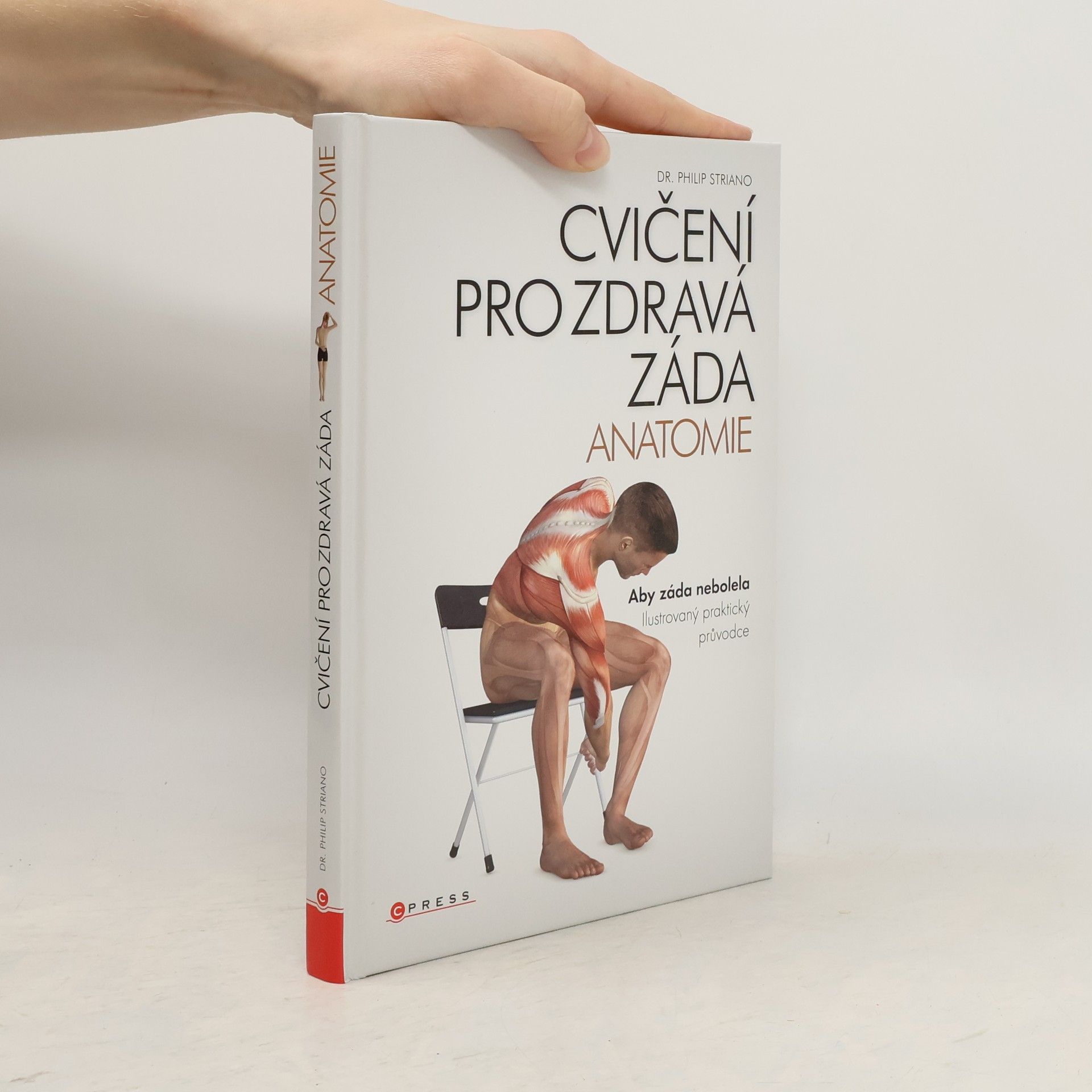Philip Striano Cvičení pro zdravá záda - anatomie