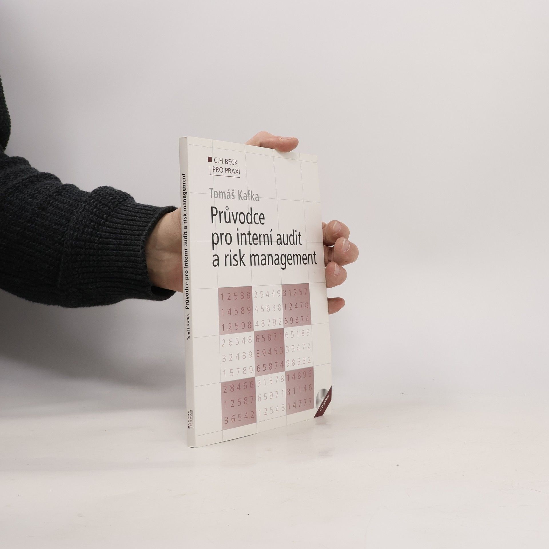 Tomáš Kafka Průvodce pro interní audit a risk management