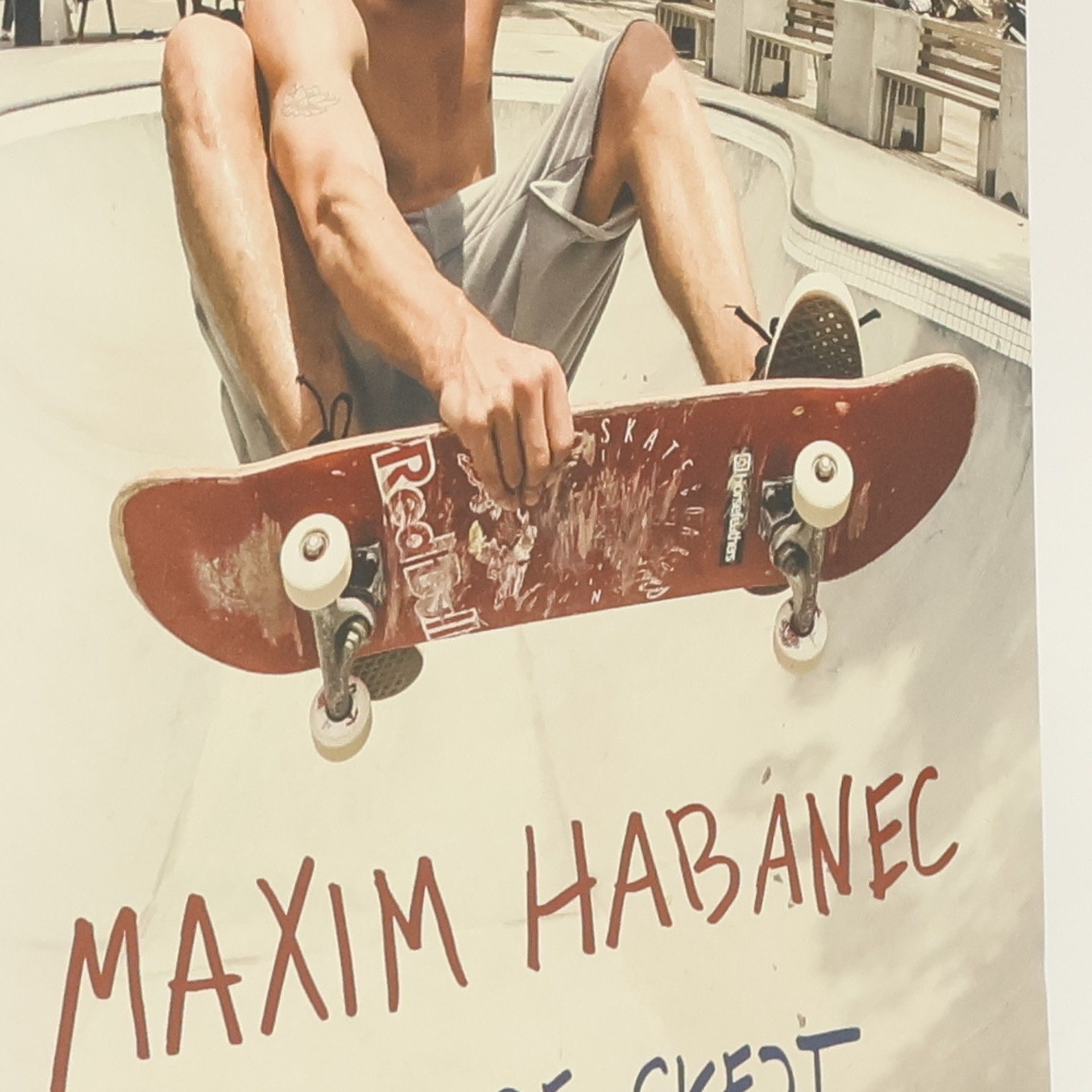 Maxim Habanec Život je skejt : můj příběh a trick-tipy