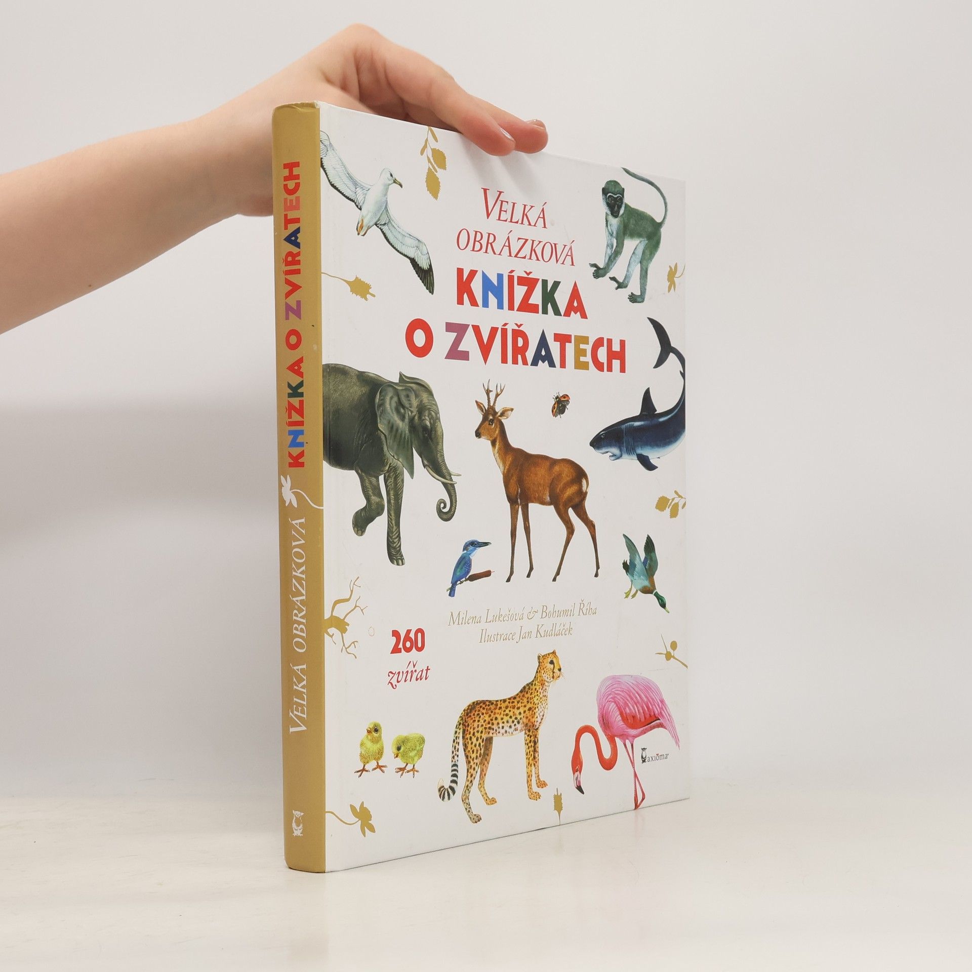 Milena Lukešová Velká obrázková knížka o zvířatech. 260 zvířat od A do Z