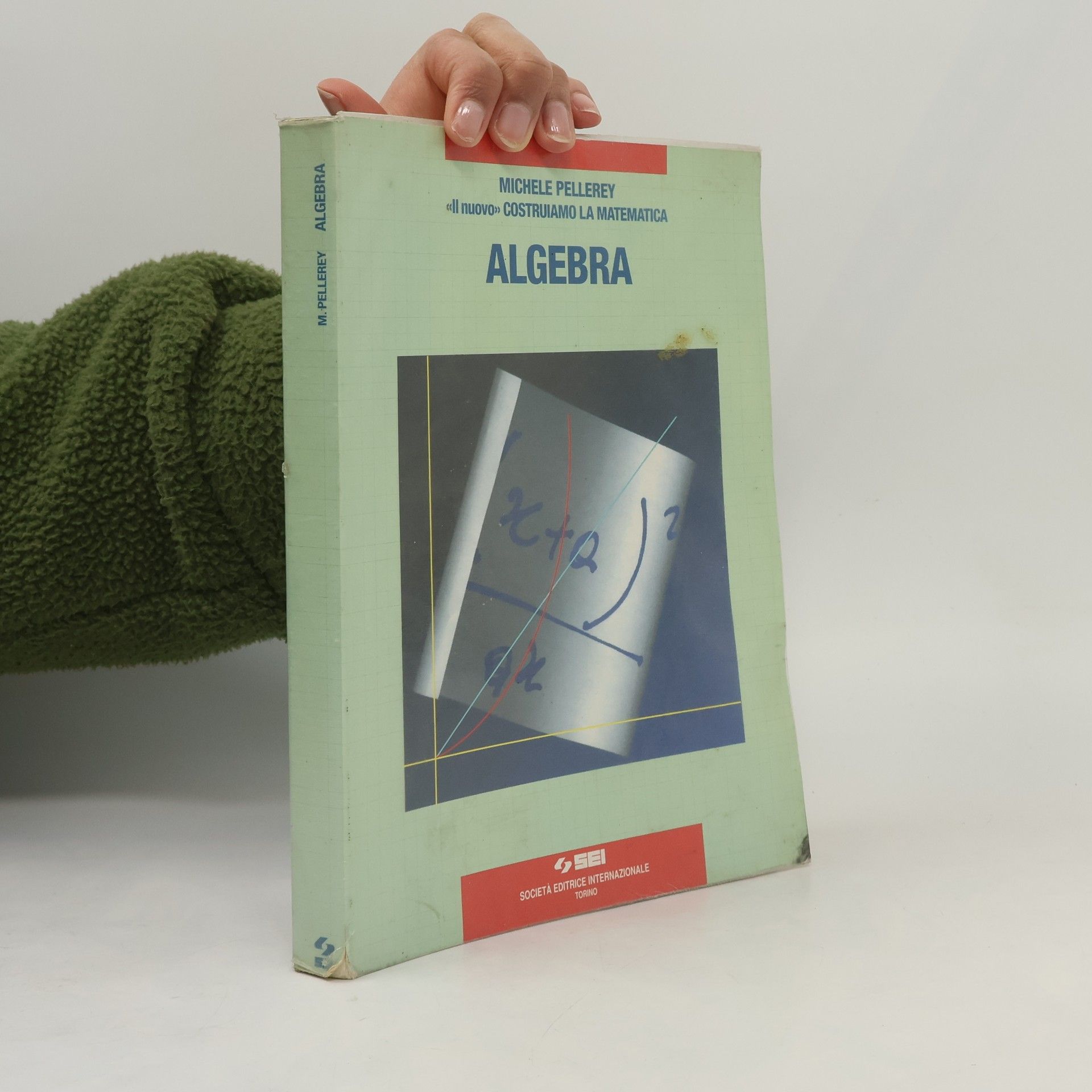 Michele Pellerey Algebra