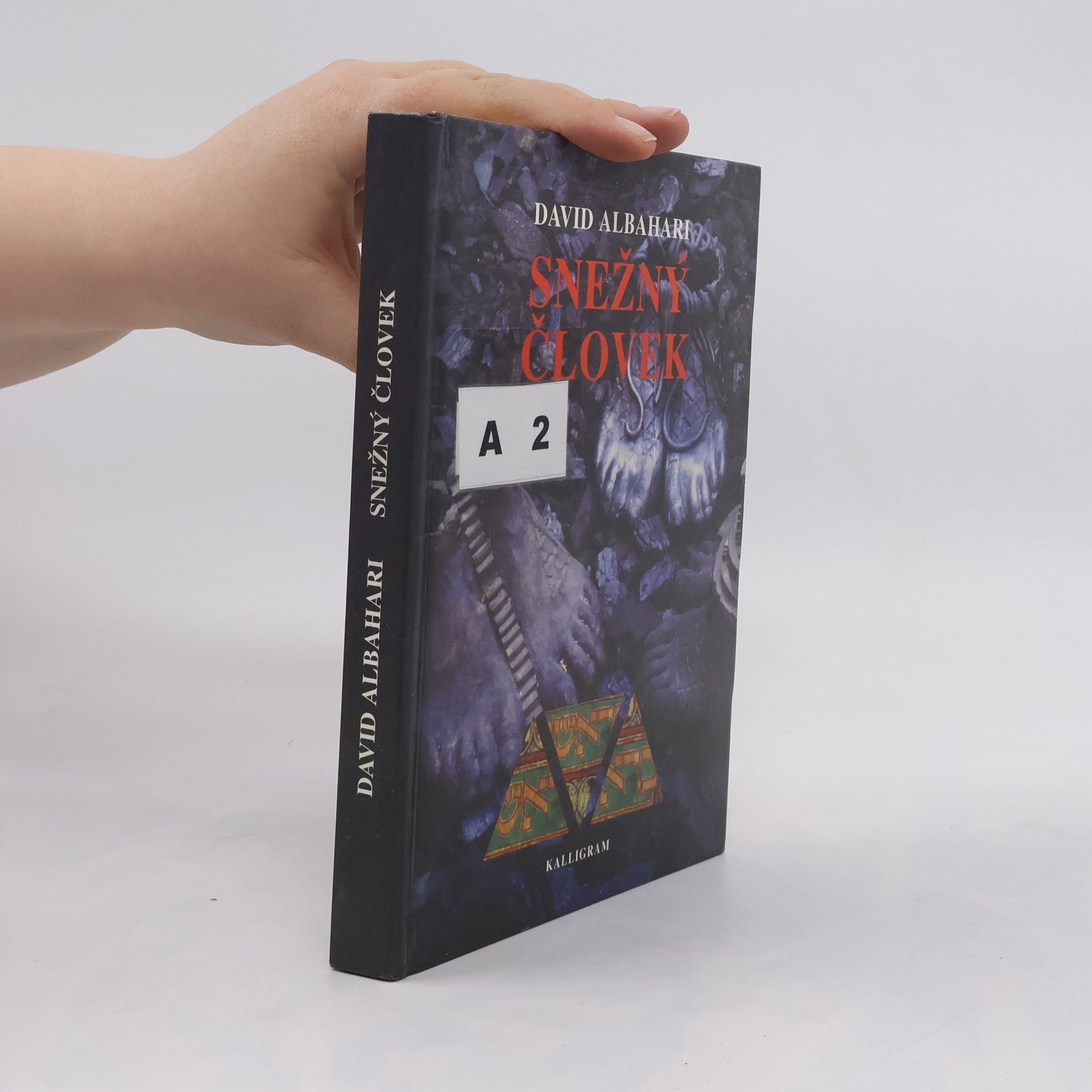 David Albahari Snežný človek