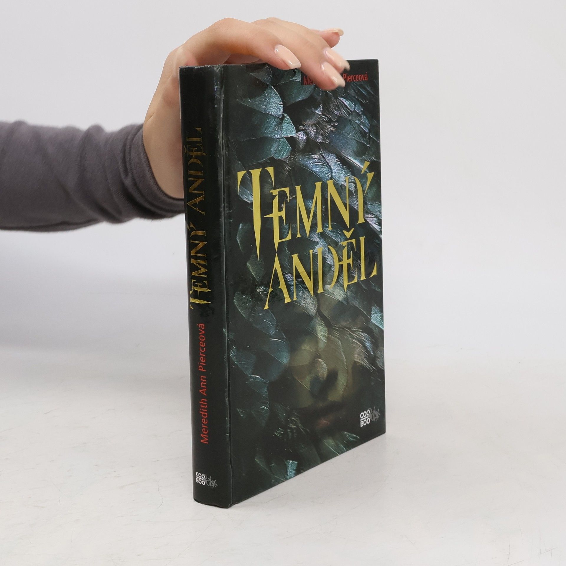 Meredith Ann Pierce Temný anděl