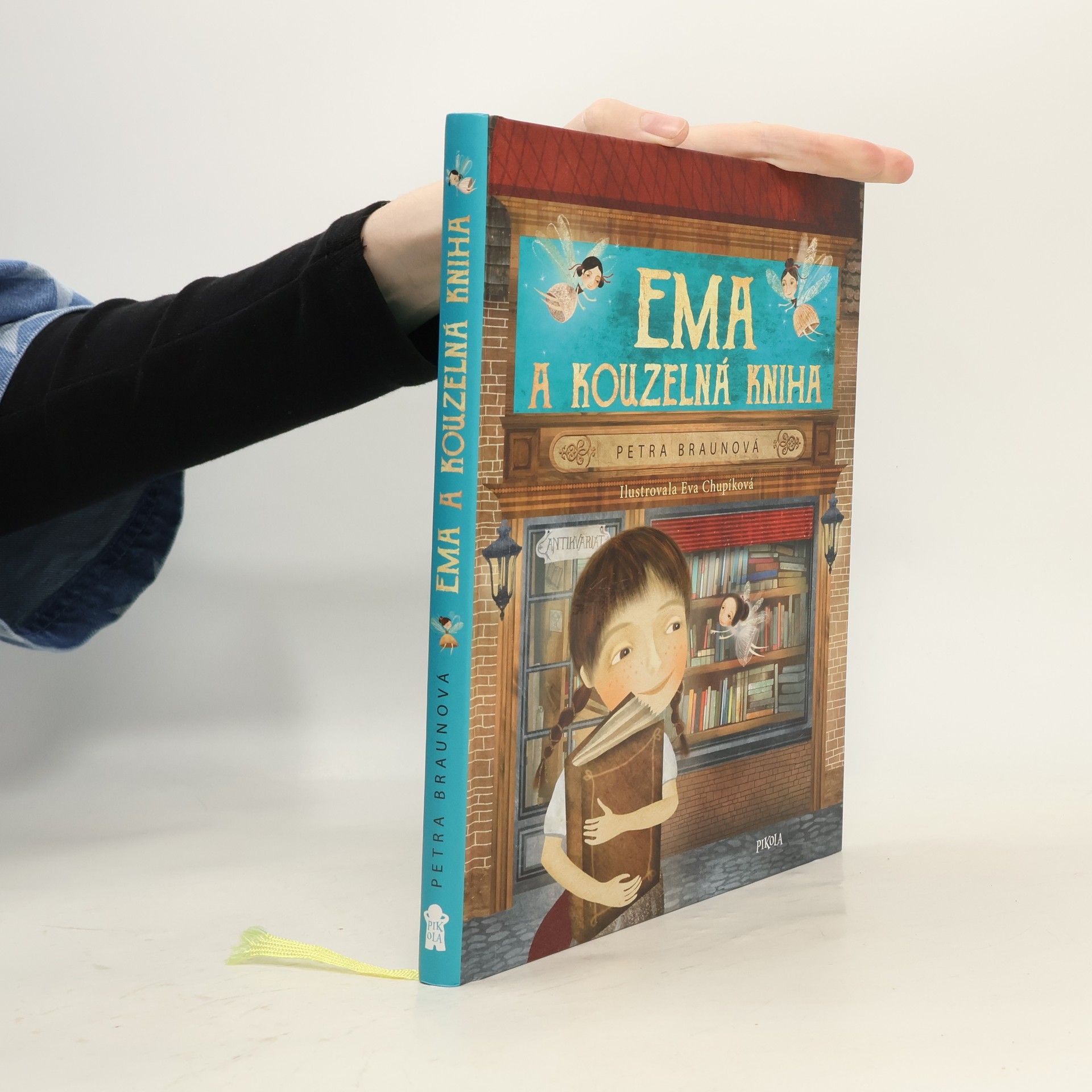 Petra Braun Groh Ema a kouzelná kniha
