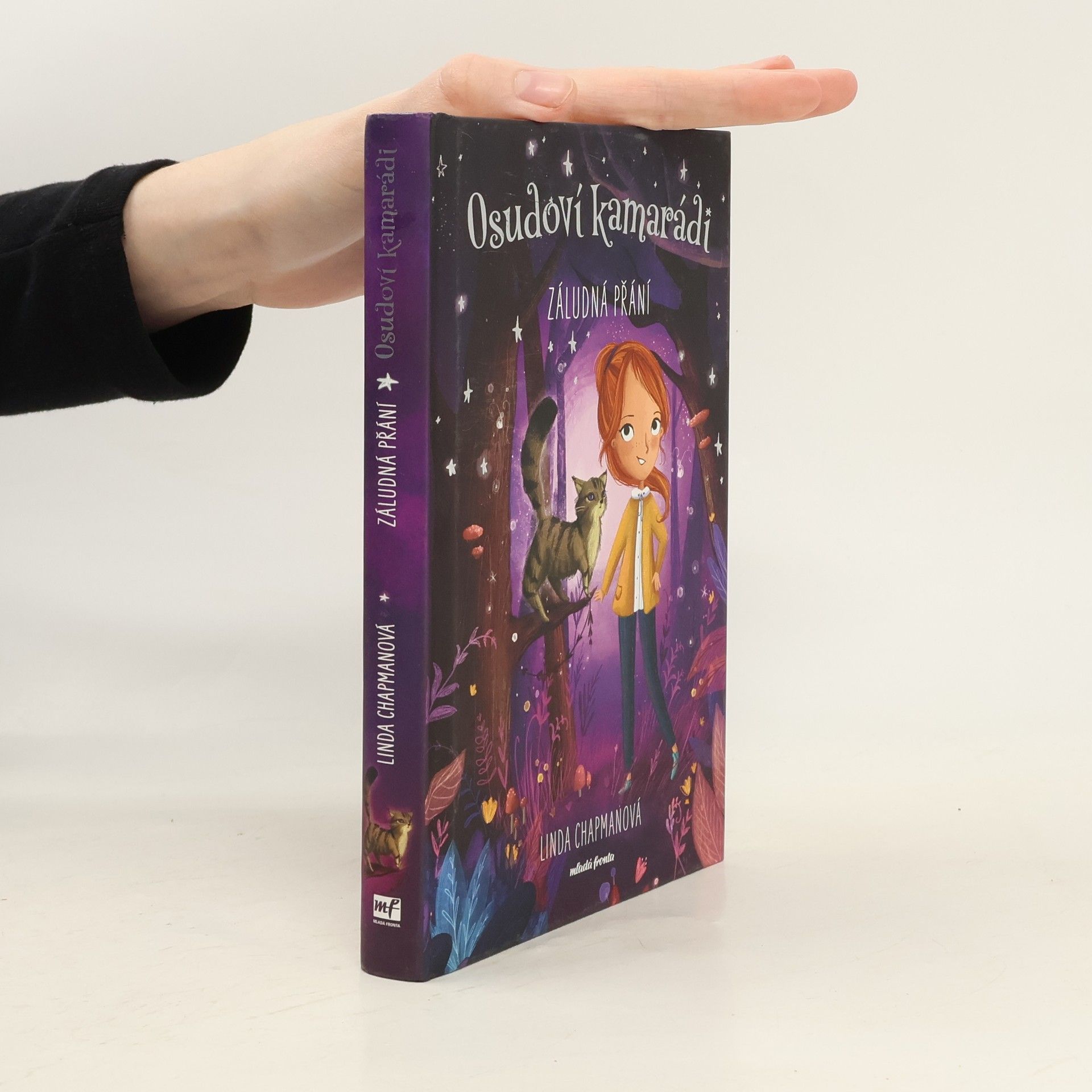 Linda Chapman Osudoví kamarádi - Záludná přání