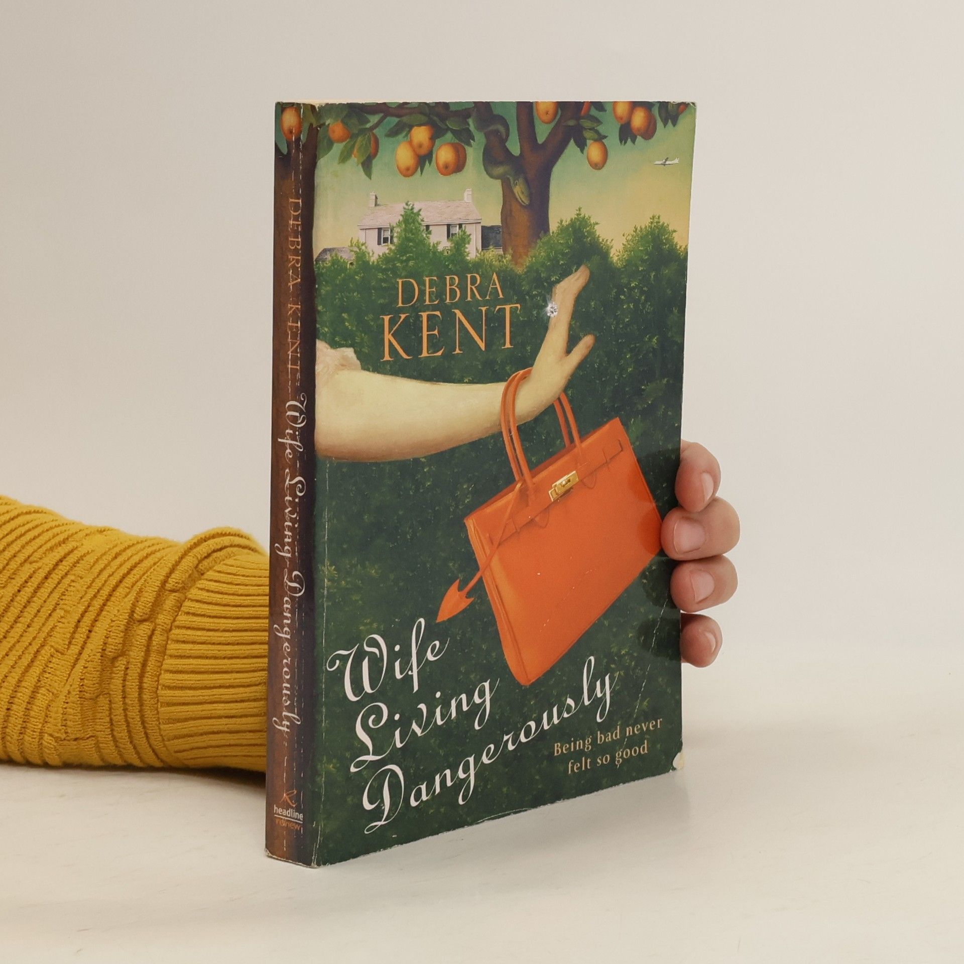 Debra Kent Wife Living Dangerously