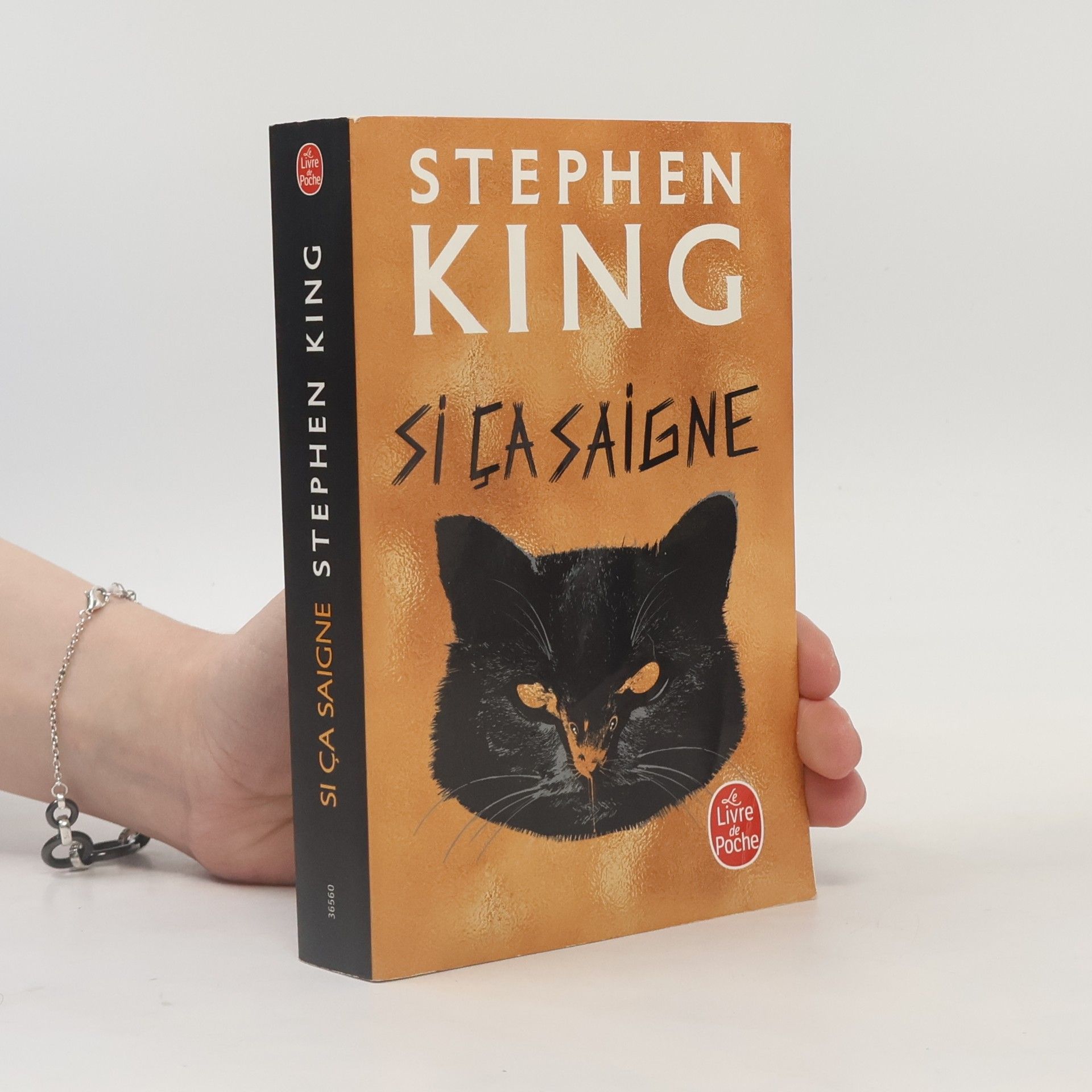 Stephen King Si ça saigne