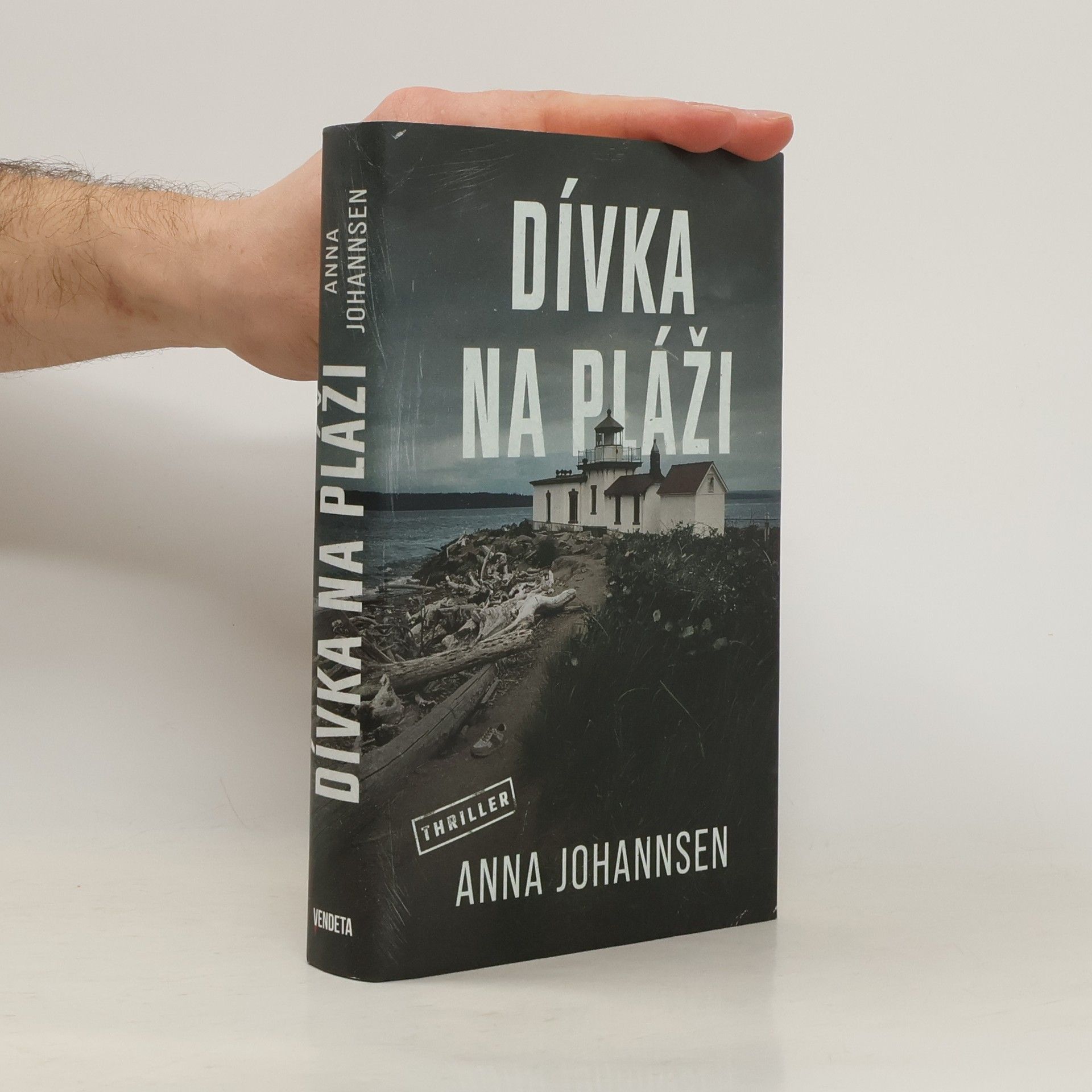 Anna Johannsen Dívka na pláži